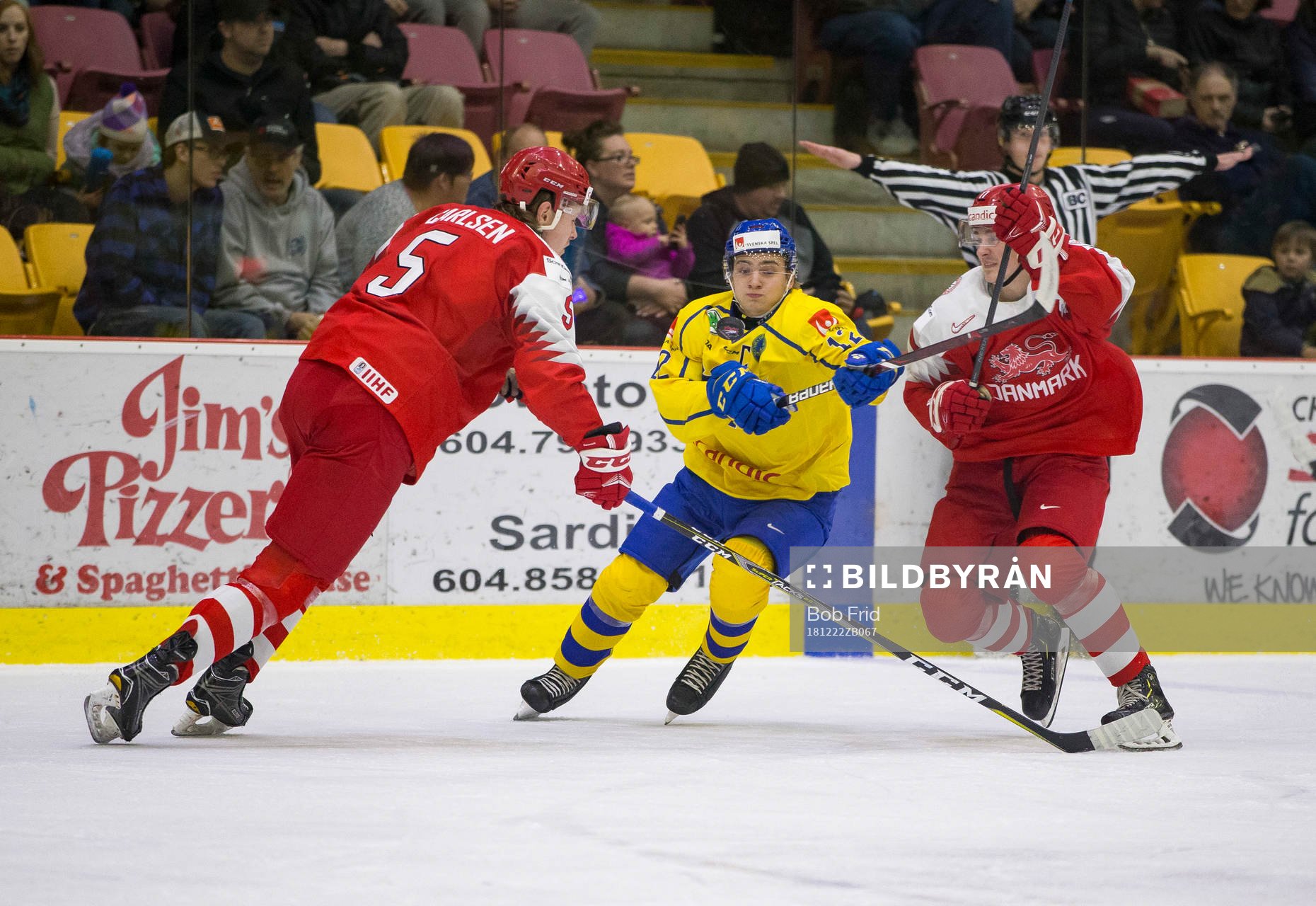 Denmark defenceman Lasse Carlsen (5) and  forward Lucas