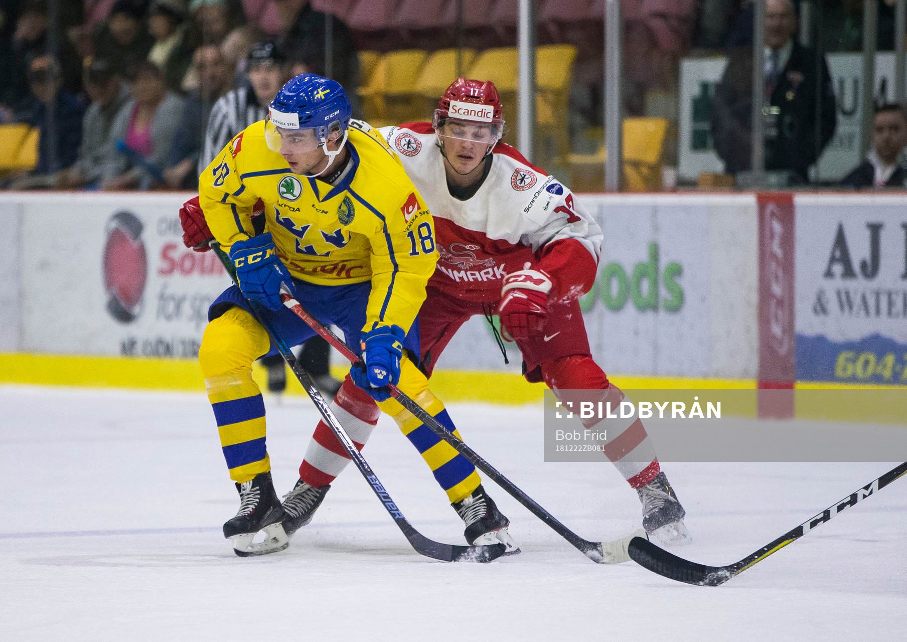 Denmark forward Lucas Andersen (17) checks Sweden forward