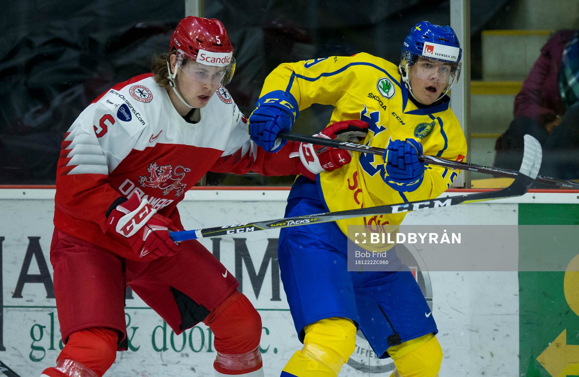 Denmark defenceman Lasse Carlsen (5)  checks Sweden forward
