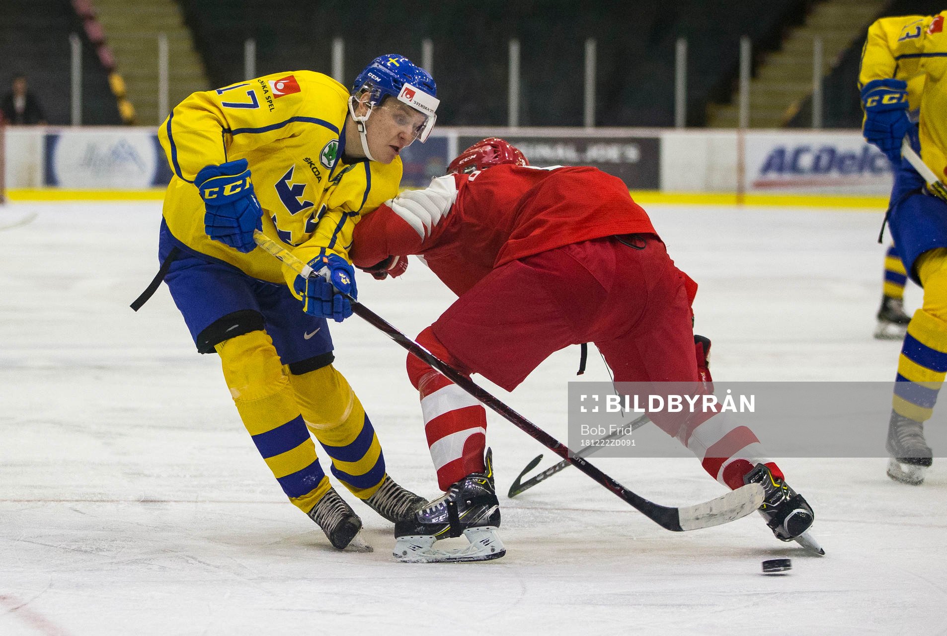 Sweden forward Filip Sveningsson (17)