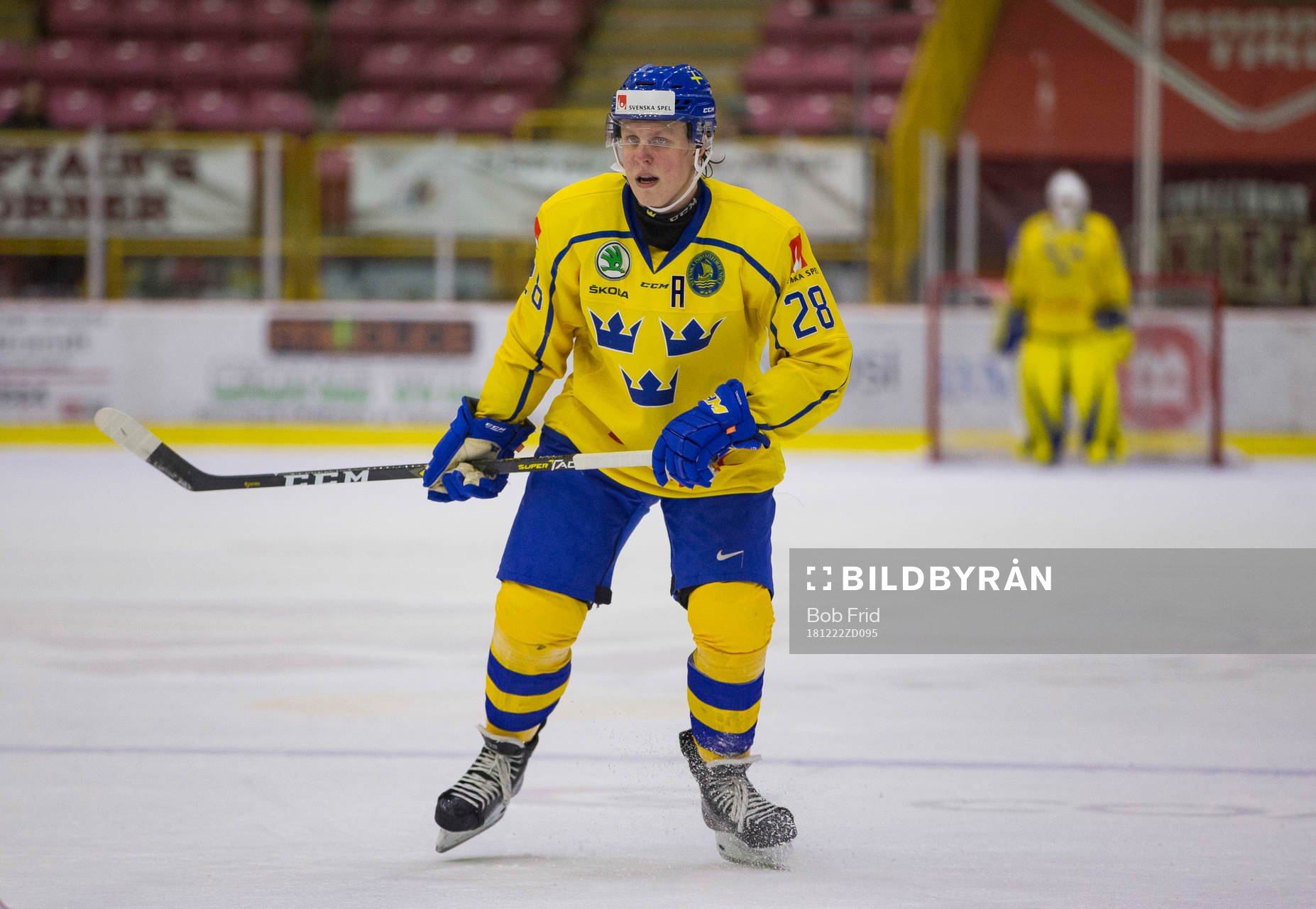 Sweden forward Fabian Zetterlund (28)