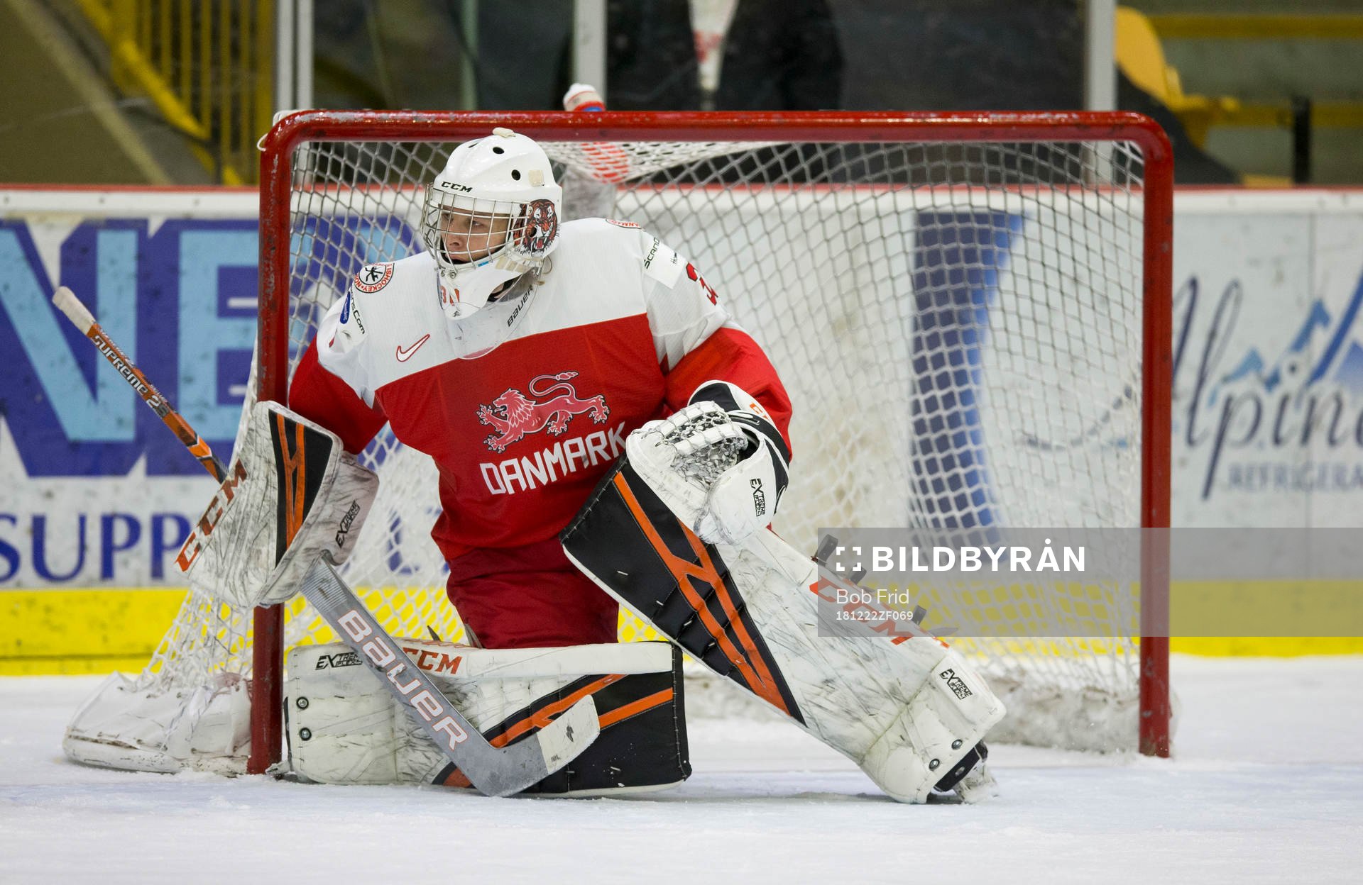 Denmark goalie Mads Søgaard (30)