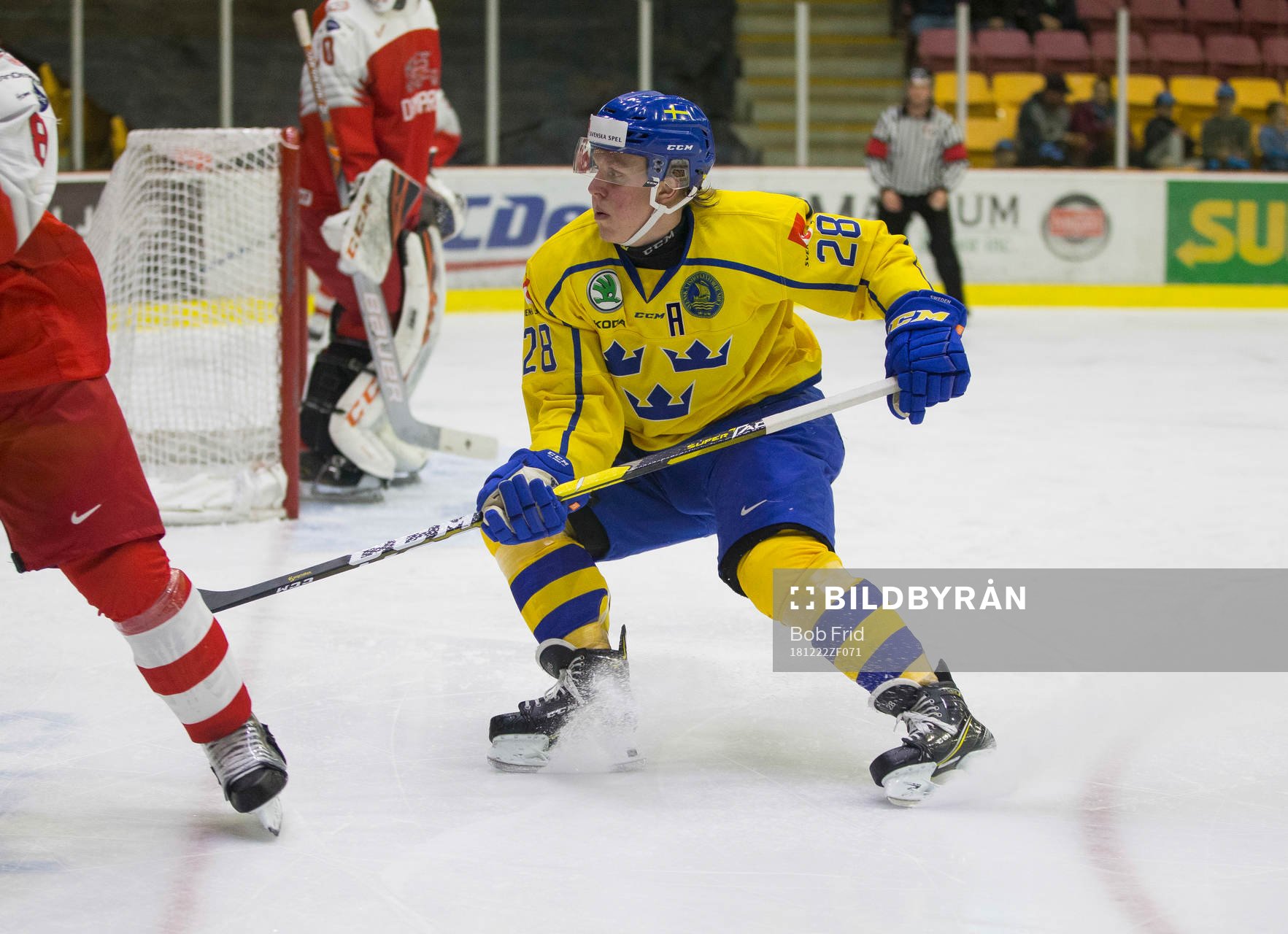 Sweden forward Fabian Zetterlund (28)
