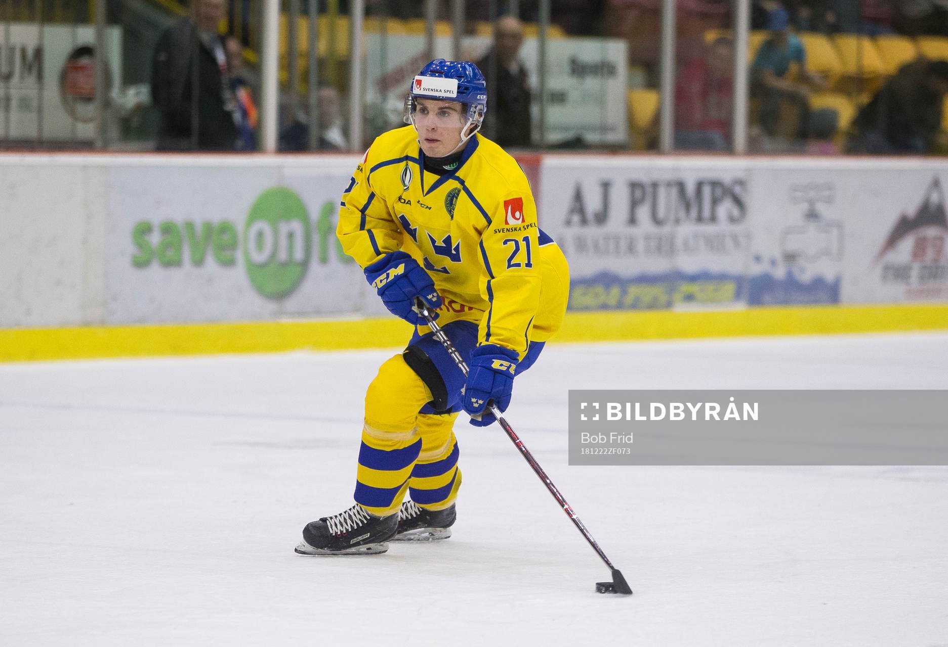Sweden forward Nils Höglander (21)