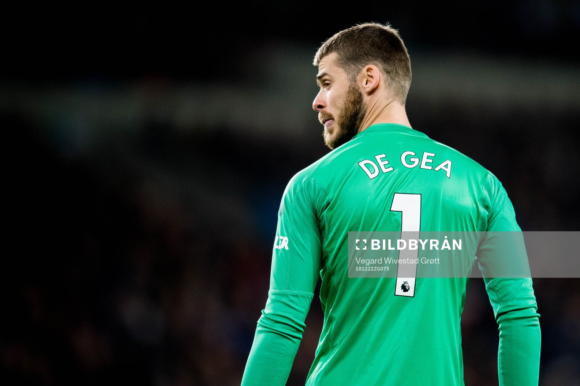 Goalkeeper David de Gea of Manchester United