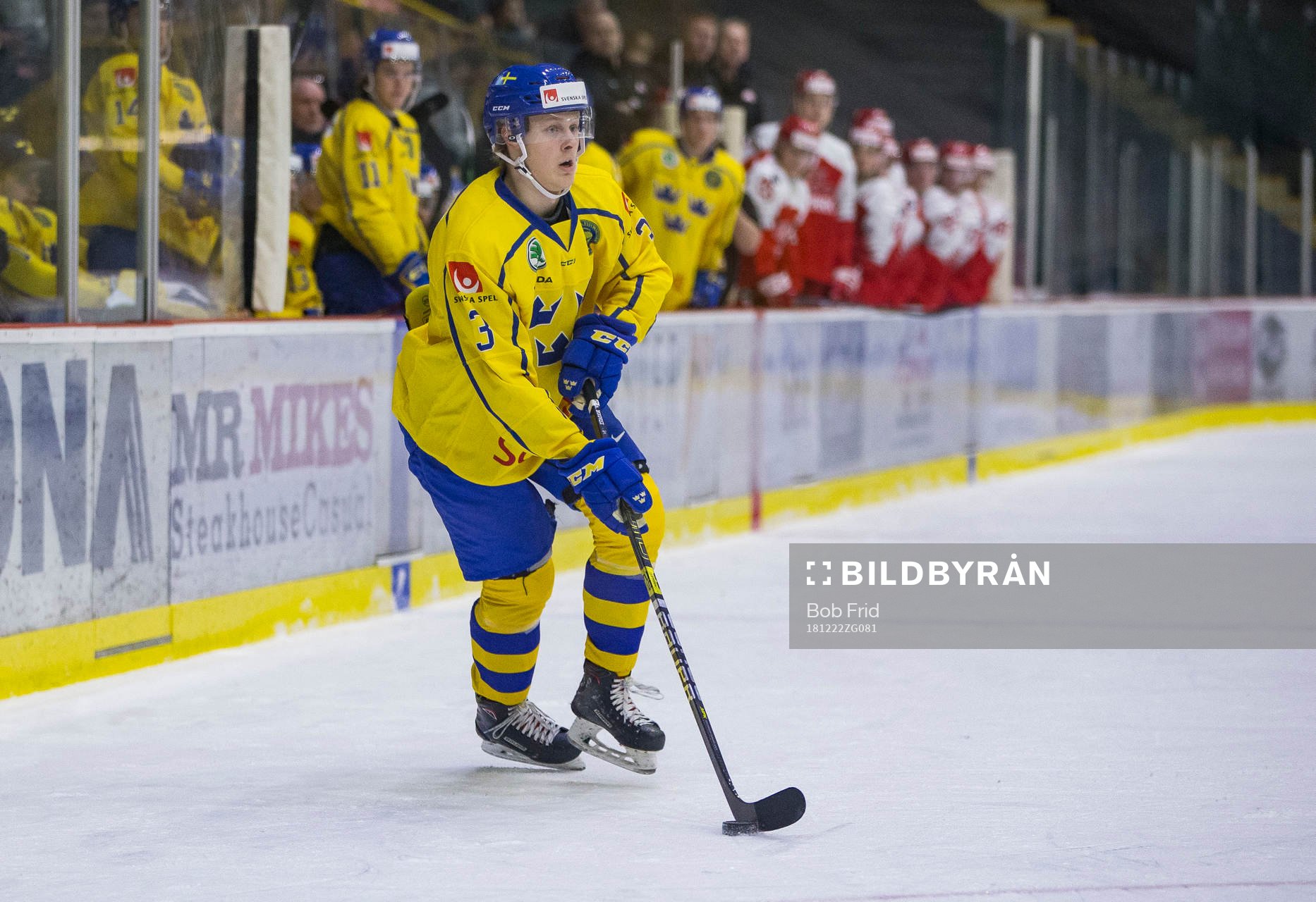 Sweden defenceman Adam Boqvist (3)