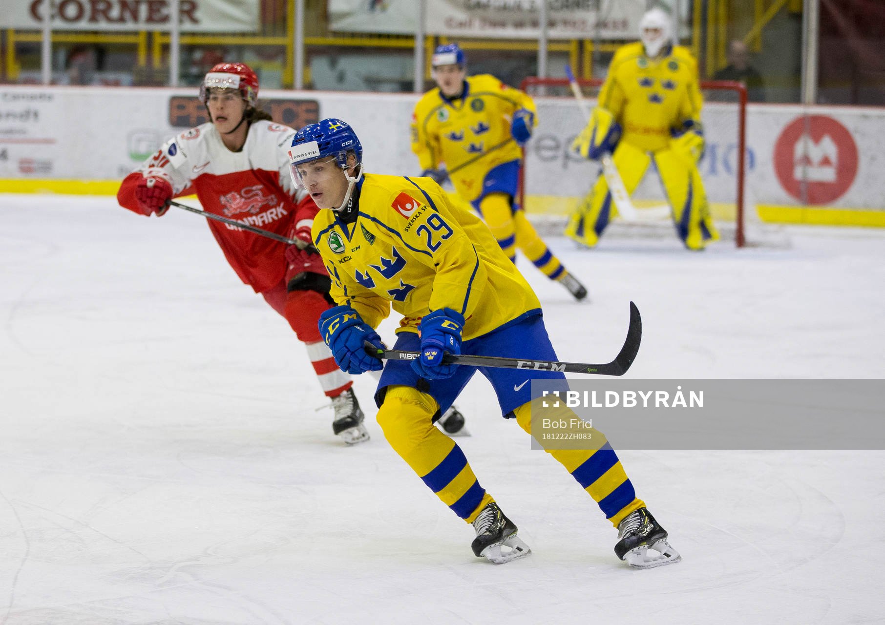 Sweden forward Pontus Holmberg (29)