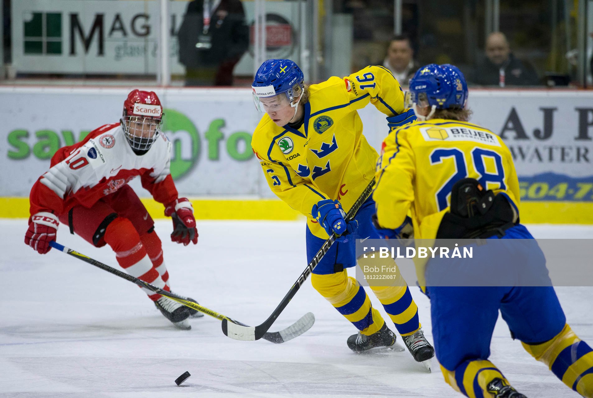 Sweden defenceman Filip Westerlund (16)