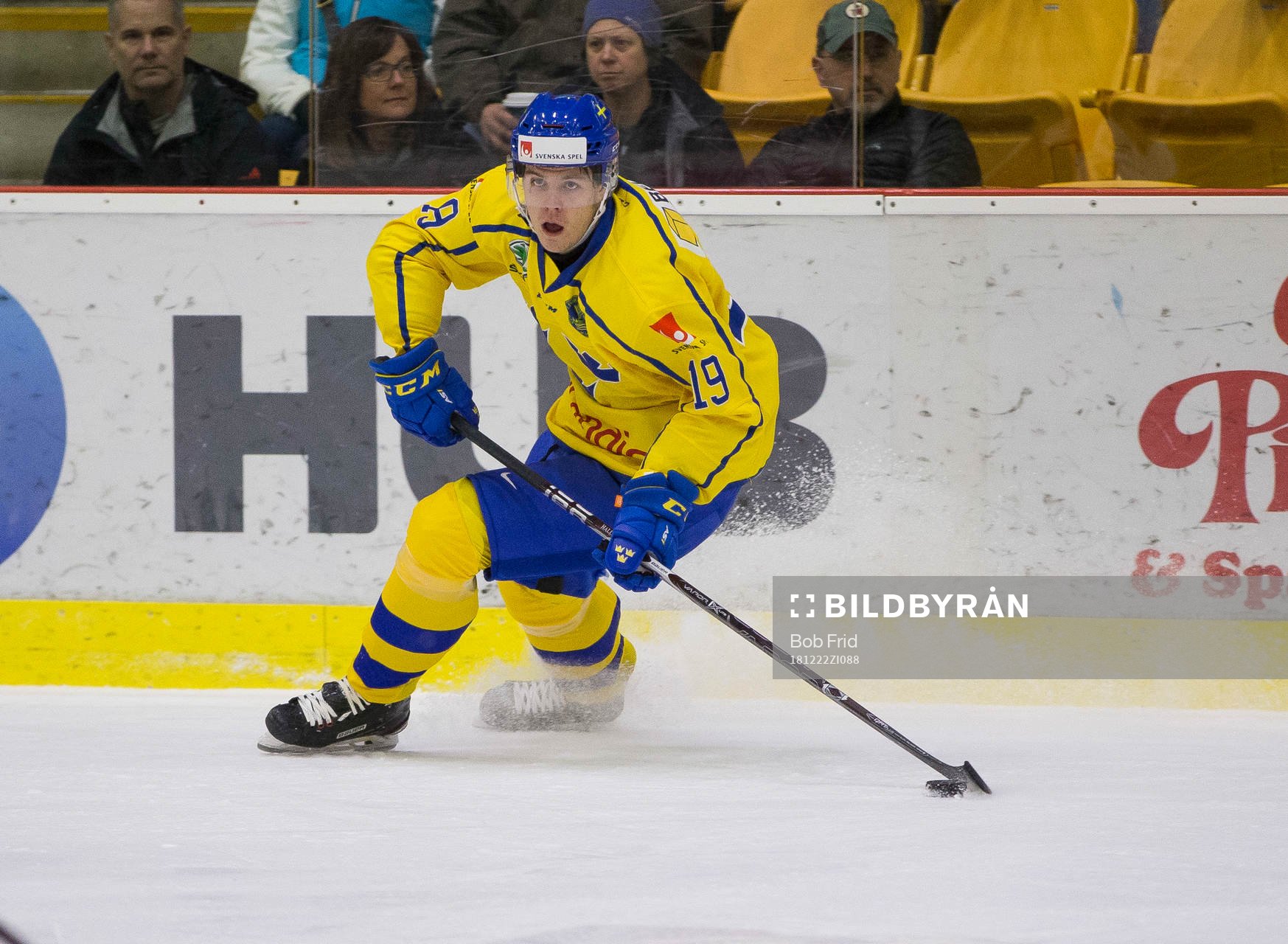 Sweden forward Filip Hållander (19)