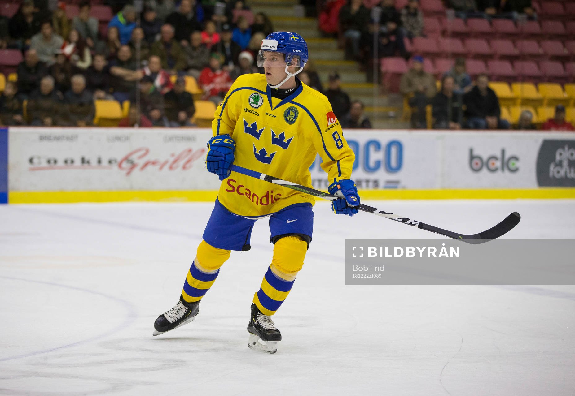 Sweden defenceman Rasmus Sandin (8)
