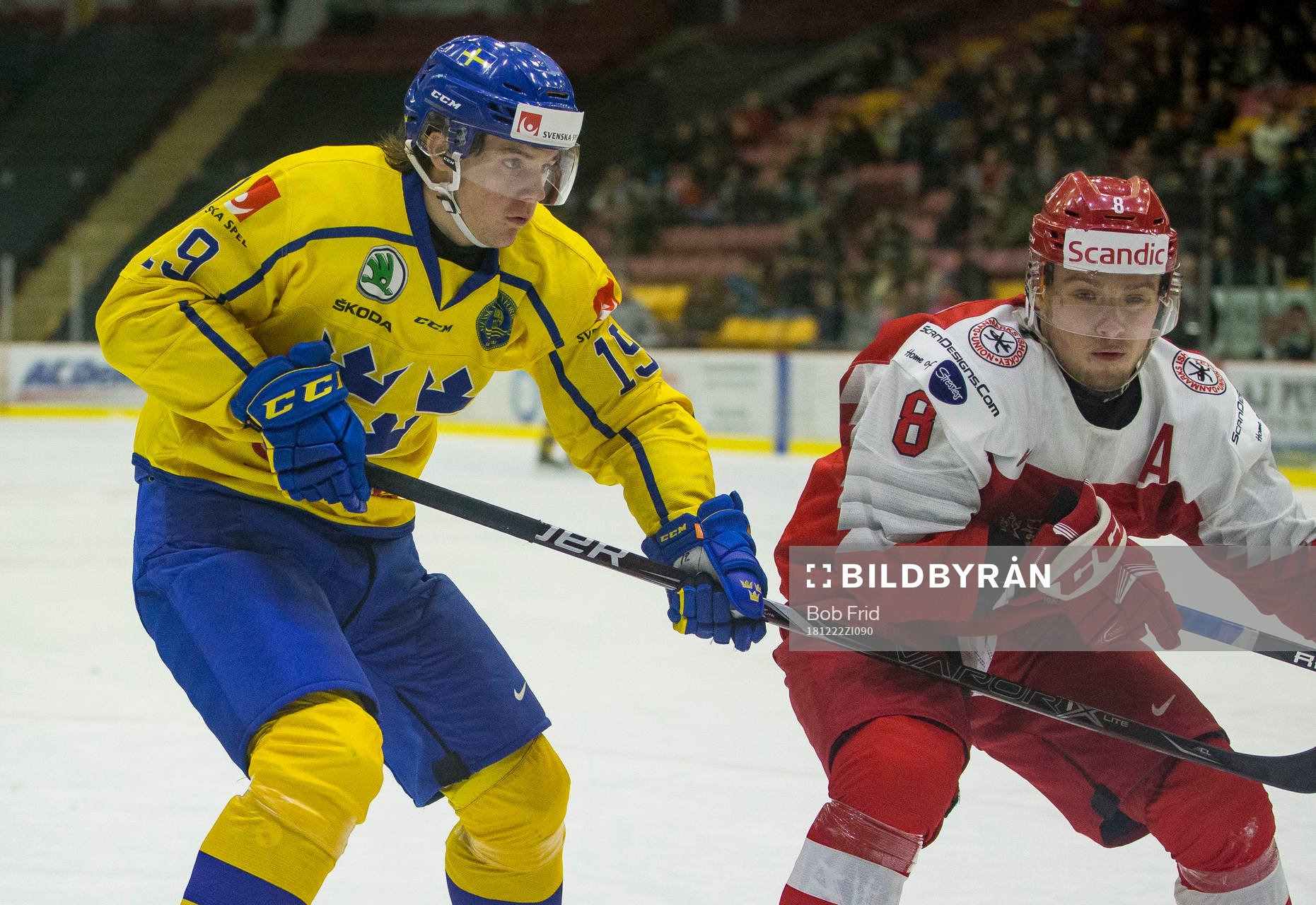 Sweden forward Filip Hållander (19) checks Denmark
