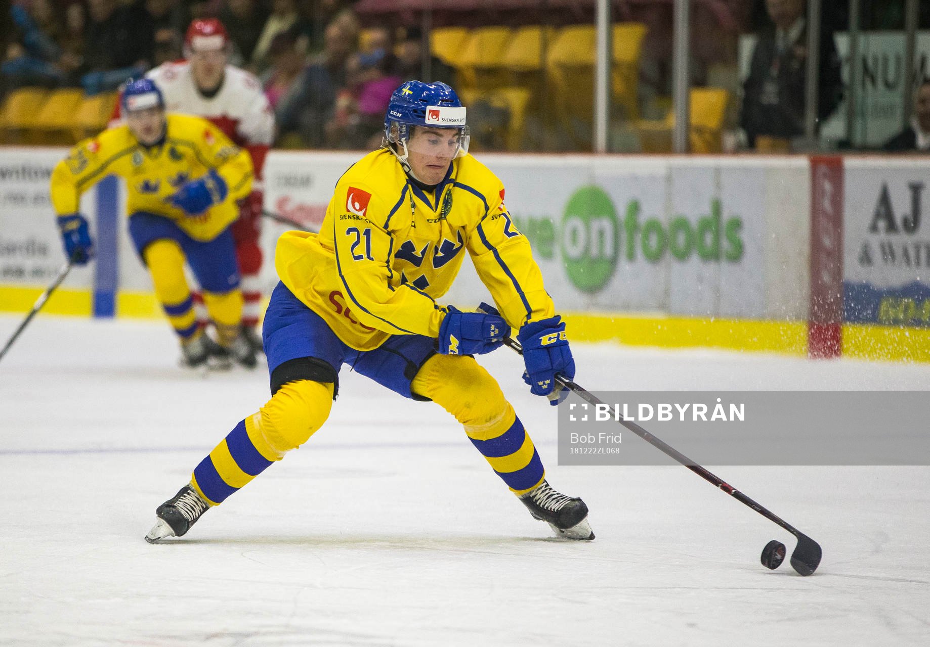 Sweden forward Nils Höglander (21)