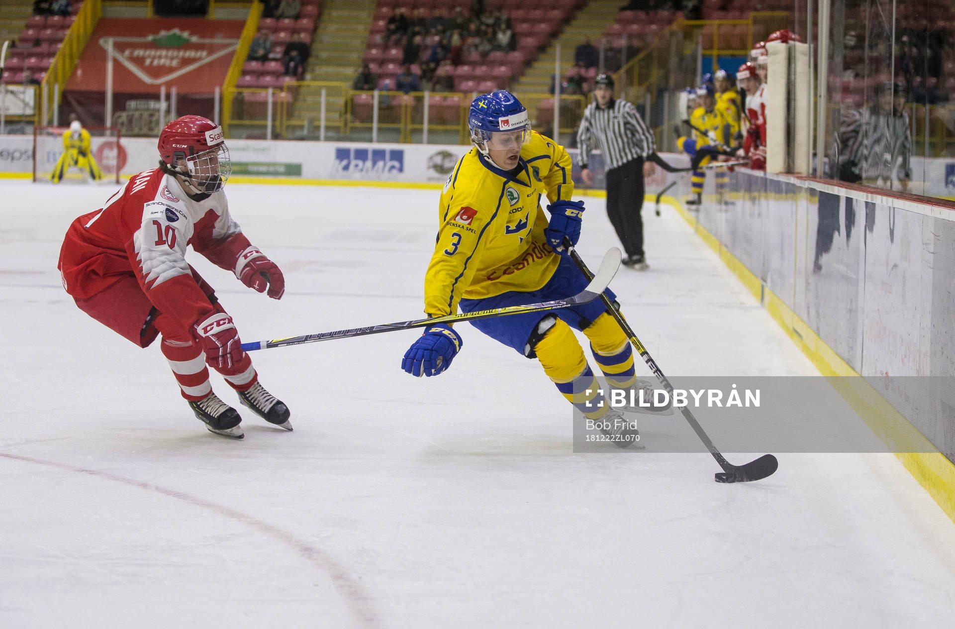 Denmark forward Jonathan Andersen (10) checks Sweden