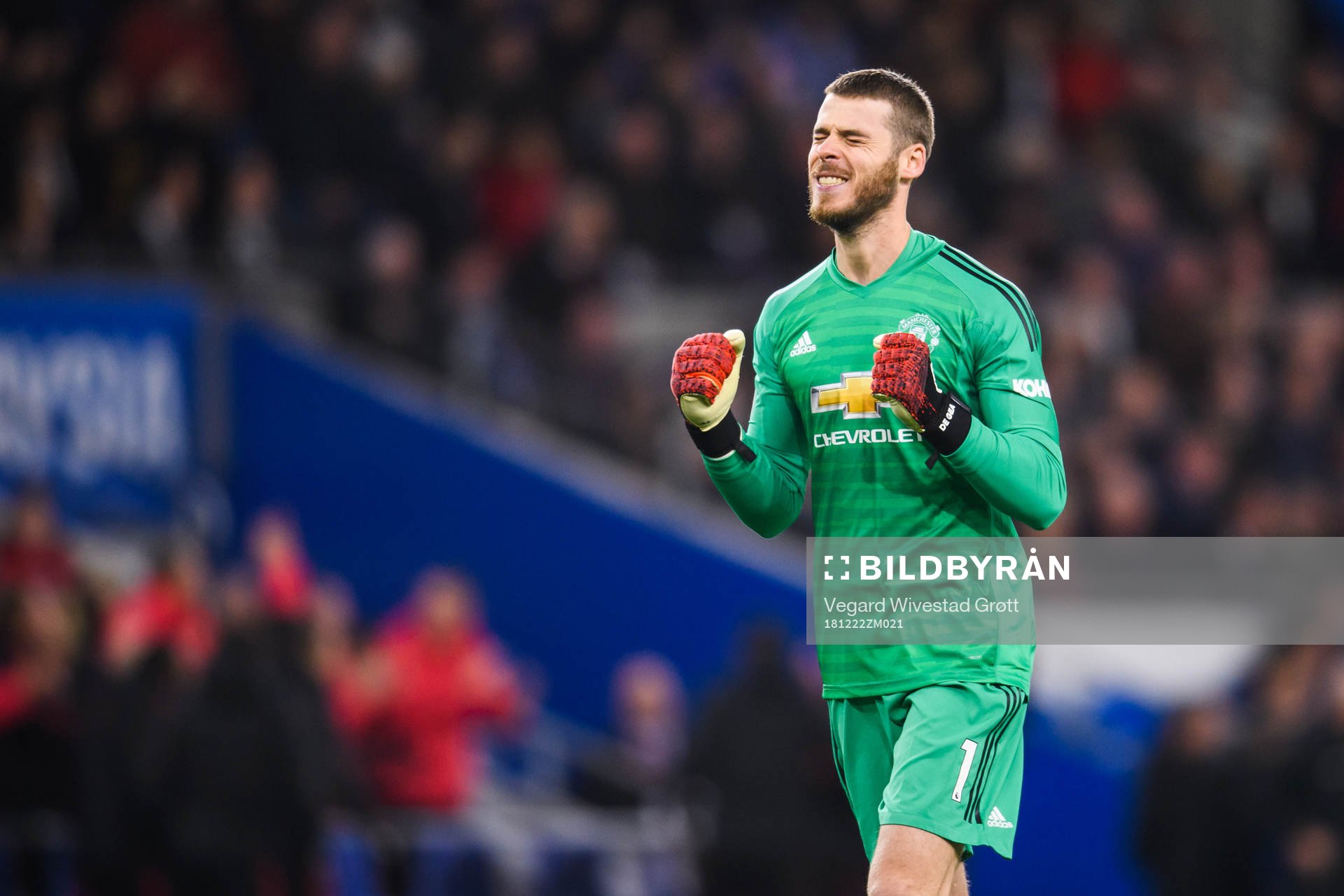 Goalkeeper David de Gea of Manchester United celebrates