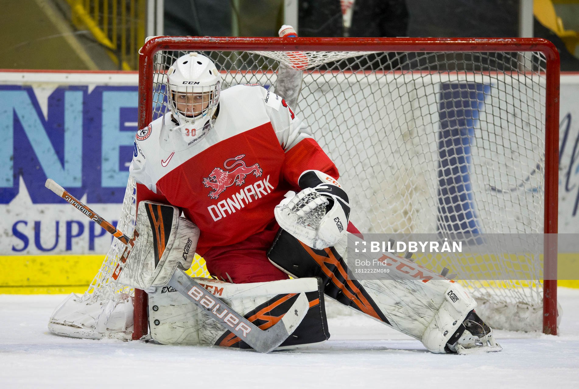 Denmark goalie Mads Søgaard (30)