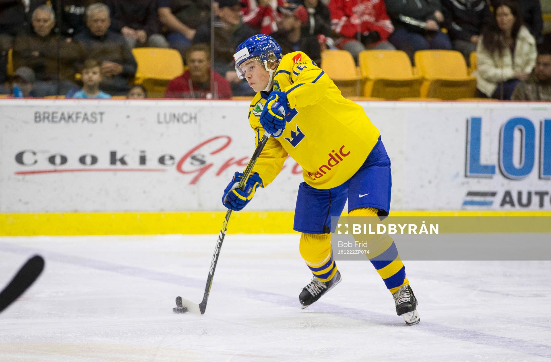 Sweden defenceman Filip Westerlund (16)  in action  against