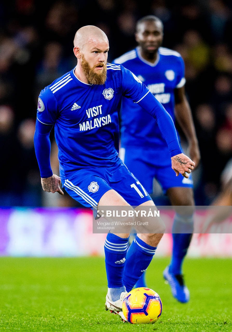 Aron Gunnarsson of Cardiff