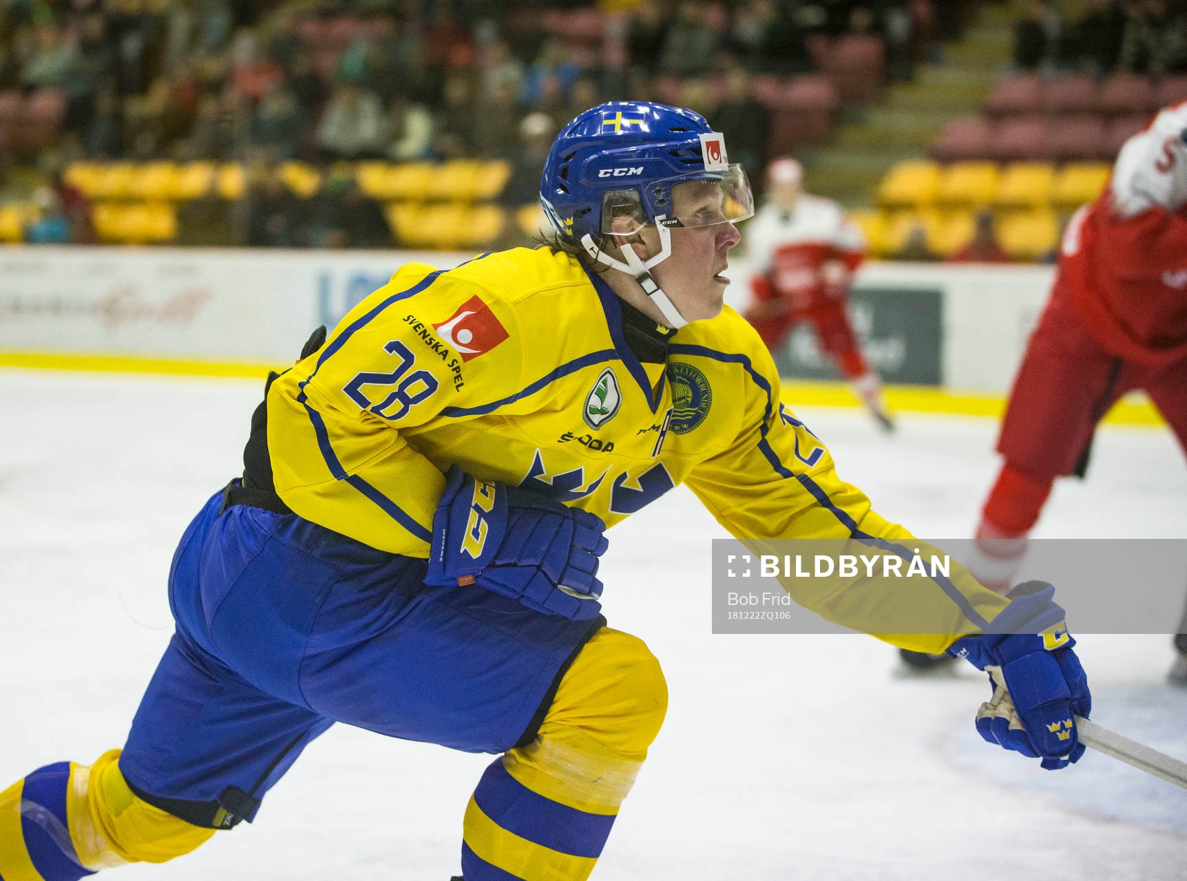 Sweden forward Fabian Zetterlund (28)