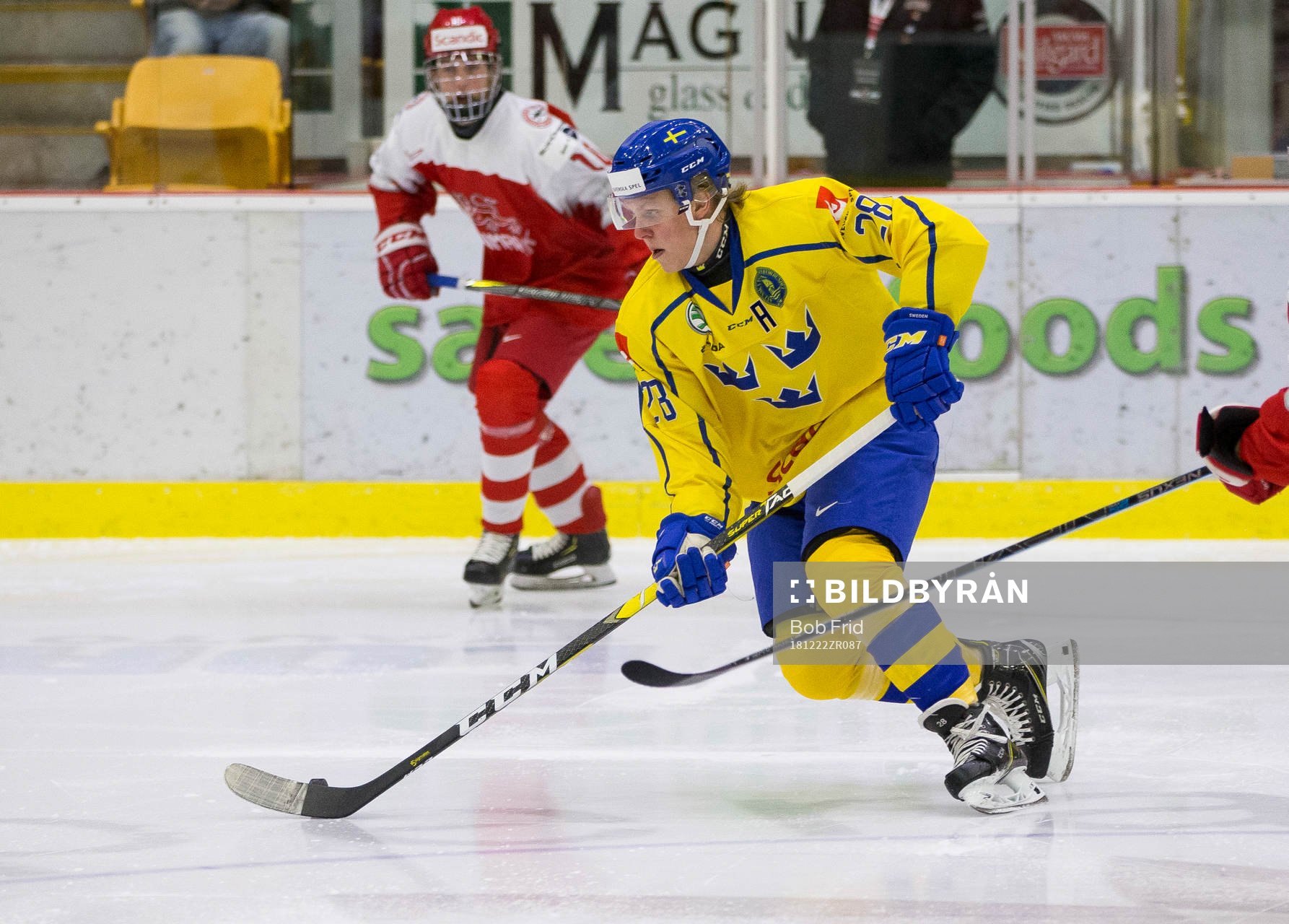 Sweden forward Fabian Zetterlund  in action  against Denmark