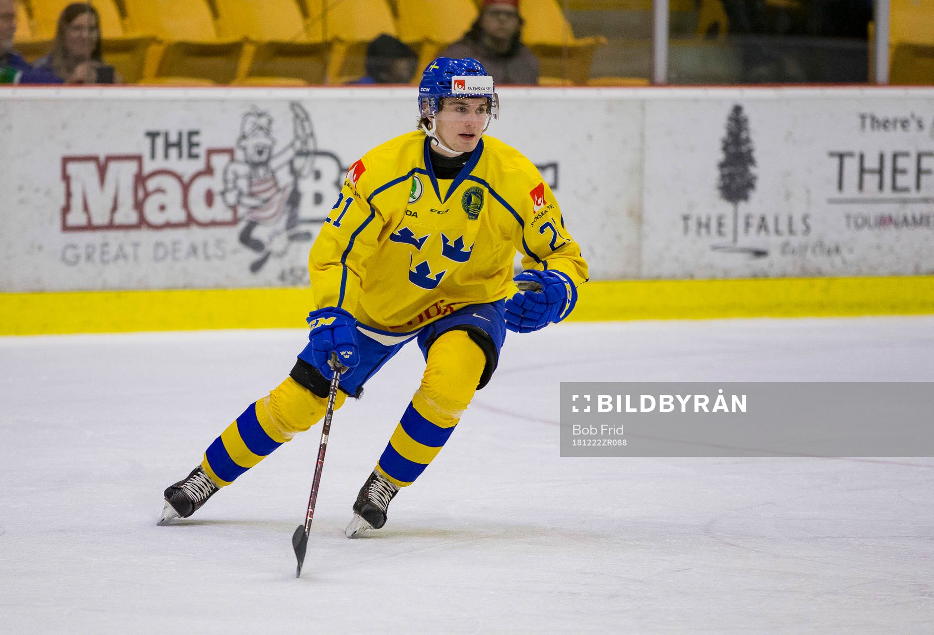 Sweden forward Nils Höglander (21)