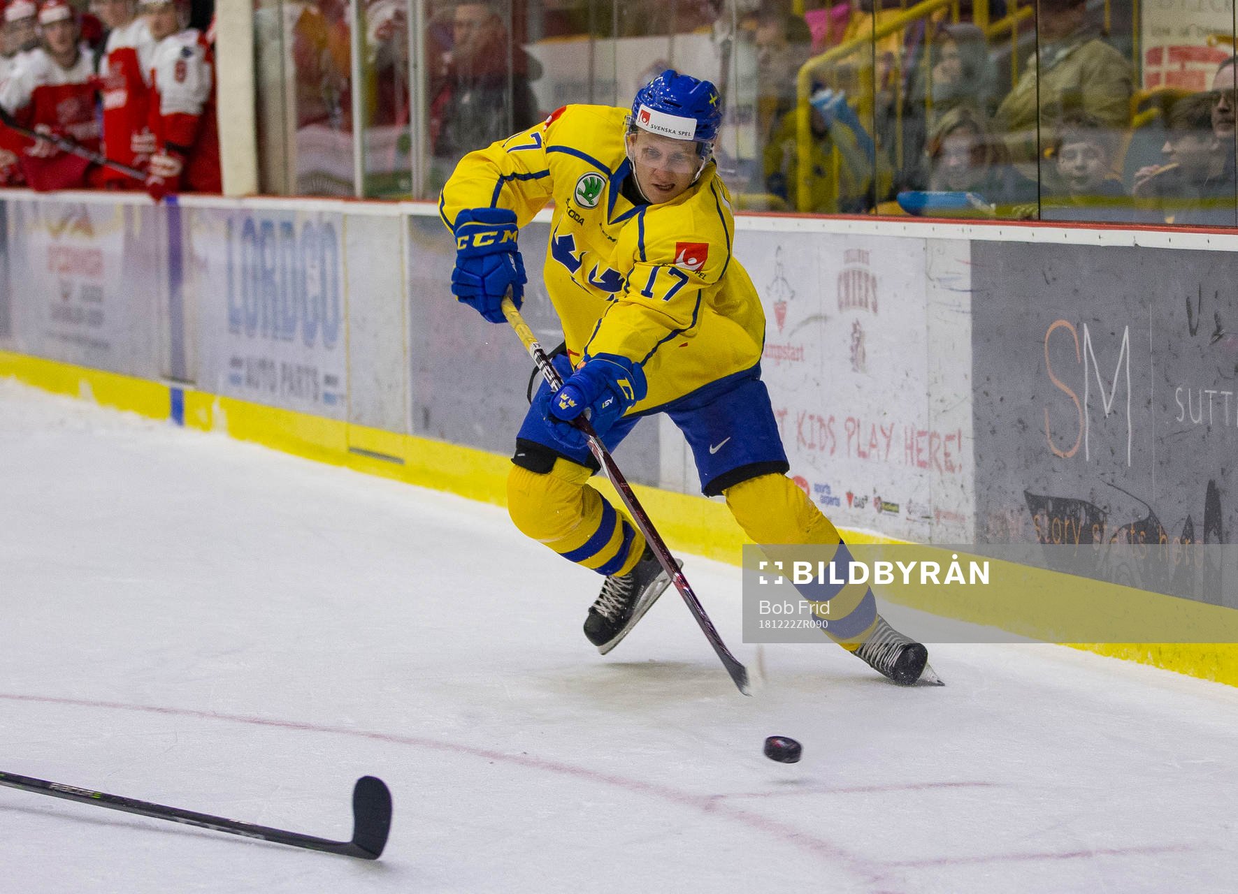 Sweden forward Filip Sveningsson (17)