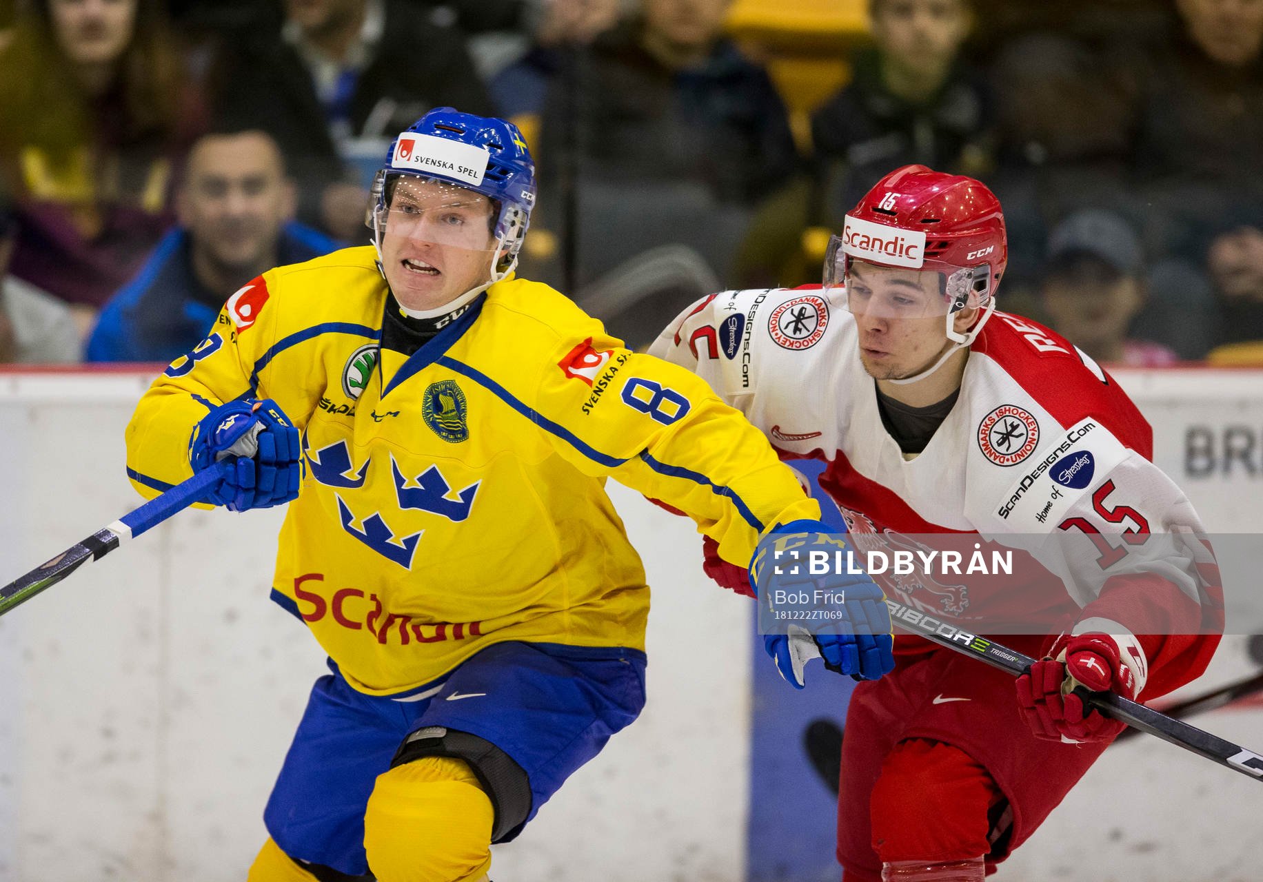 Sweden defenceman Rasmus Sandin (8)  battles with Denmark