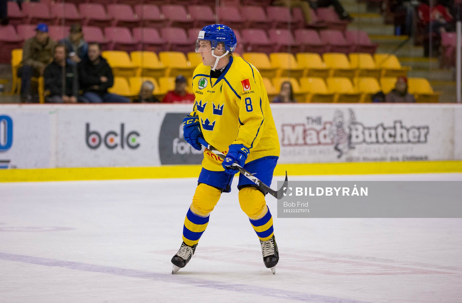 Sweden defenceman Rasmus Sandin (8)