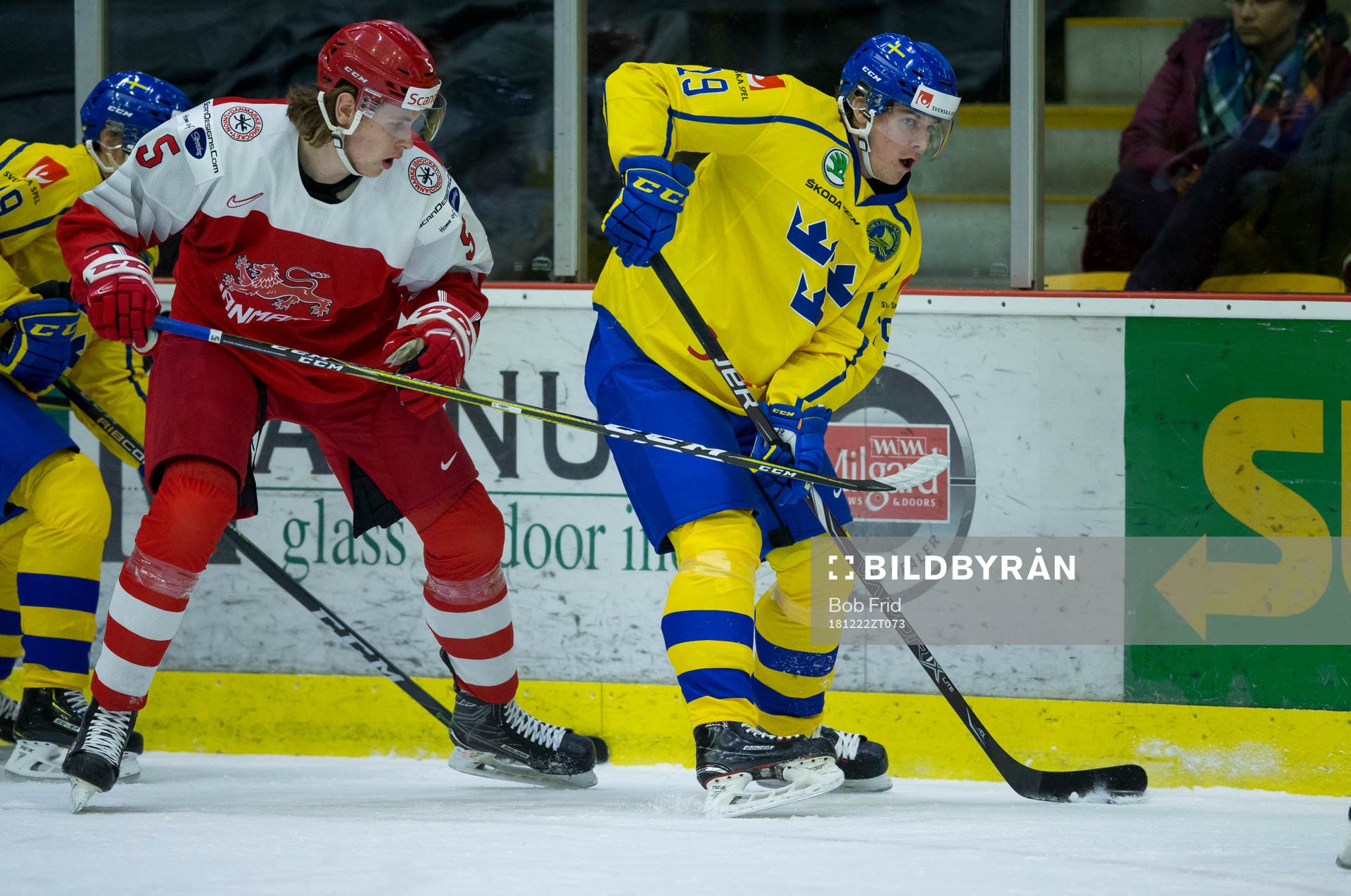 Denmark defenceman Lasse Carlsen (5)  checks Sweden forward