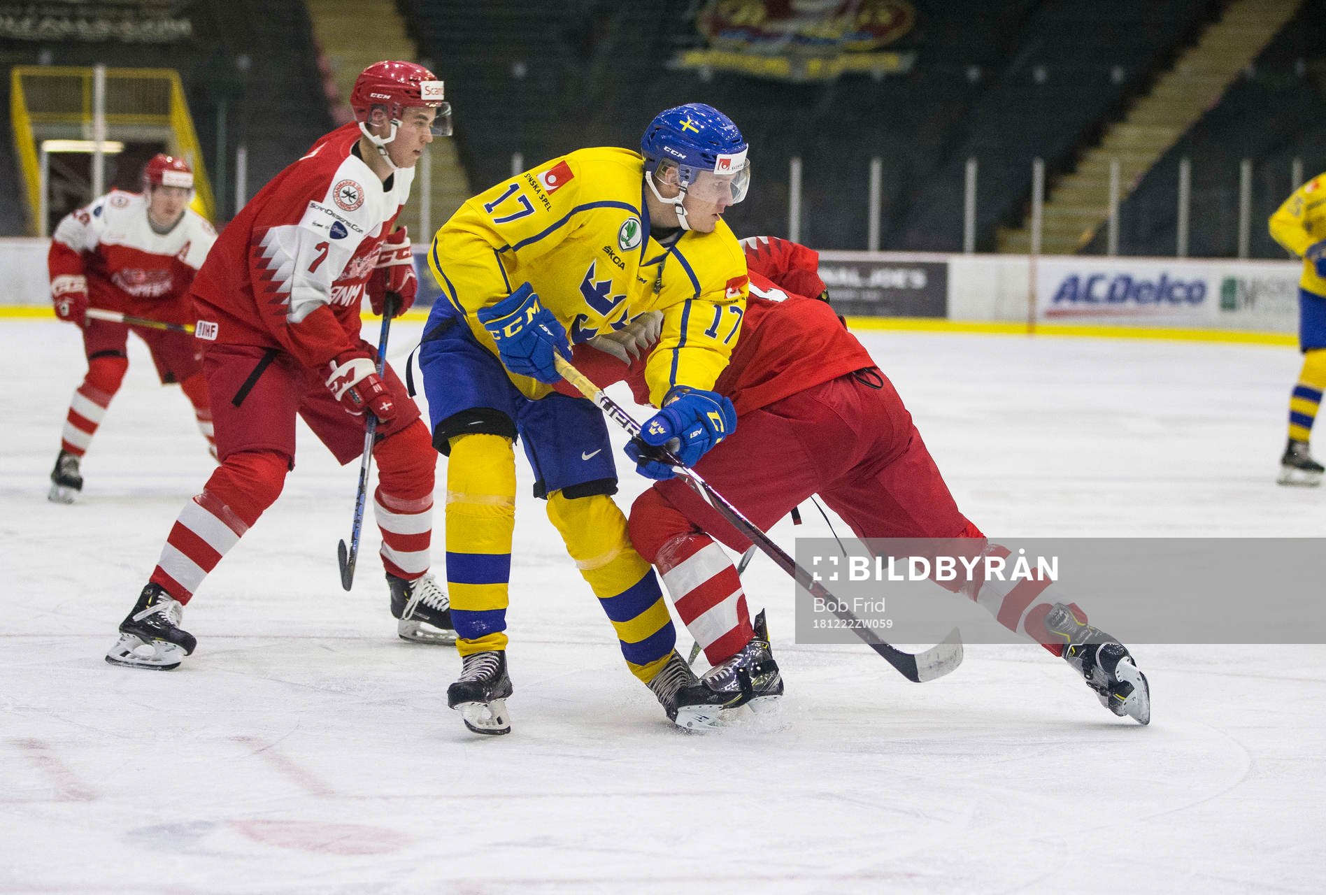 Denmark defenceman Victor Andersen checks Sweden forward