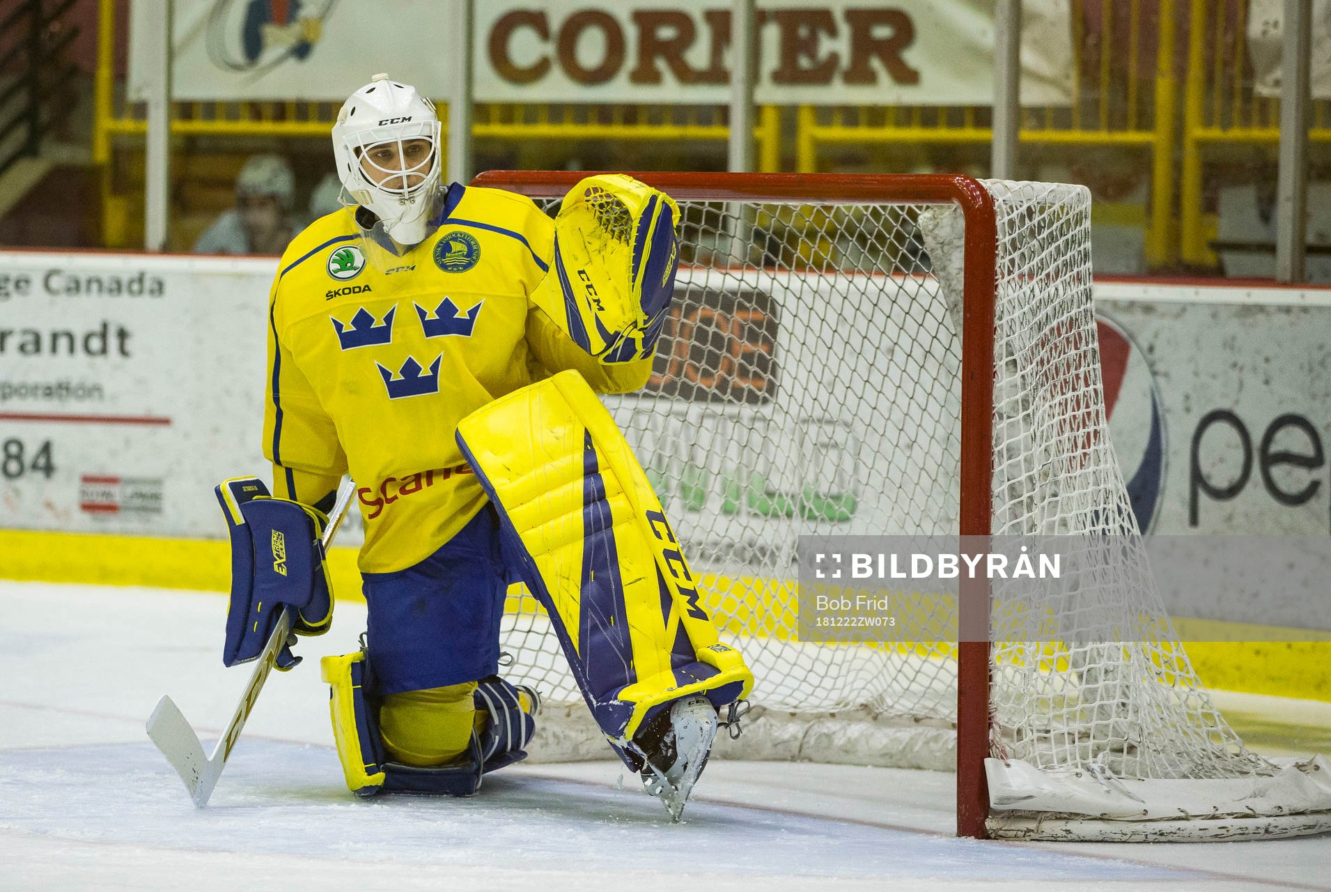 Sweden goalie Olle Eriksson Ek (35)  in action  against