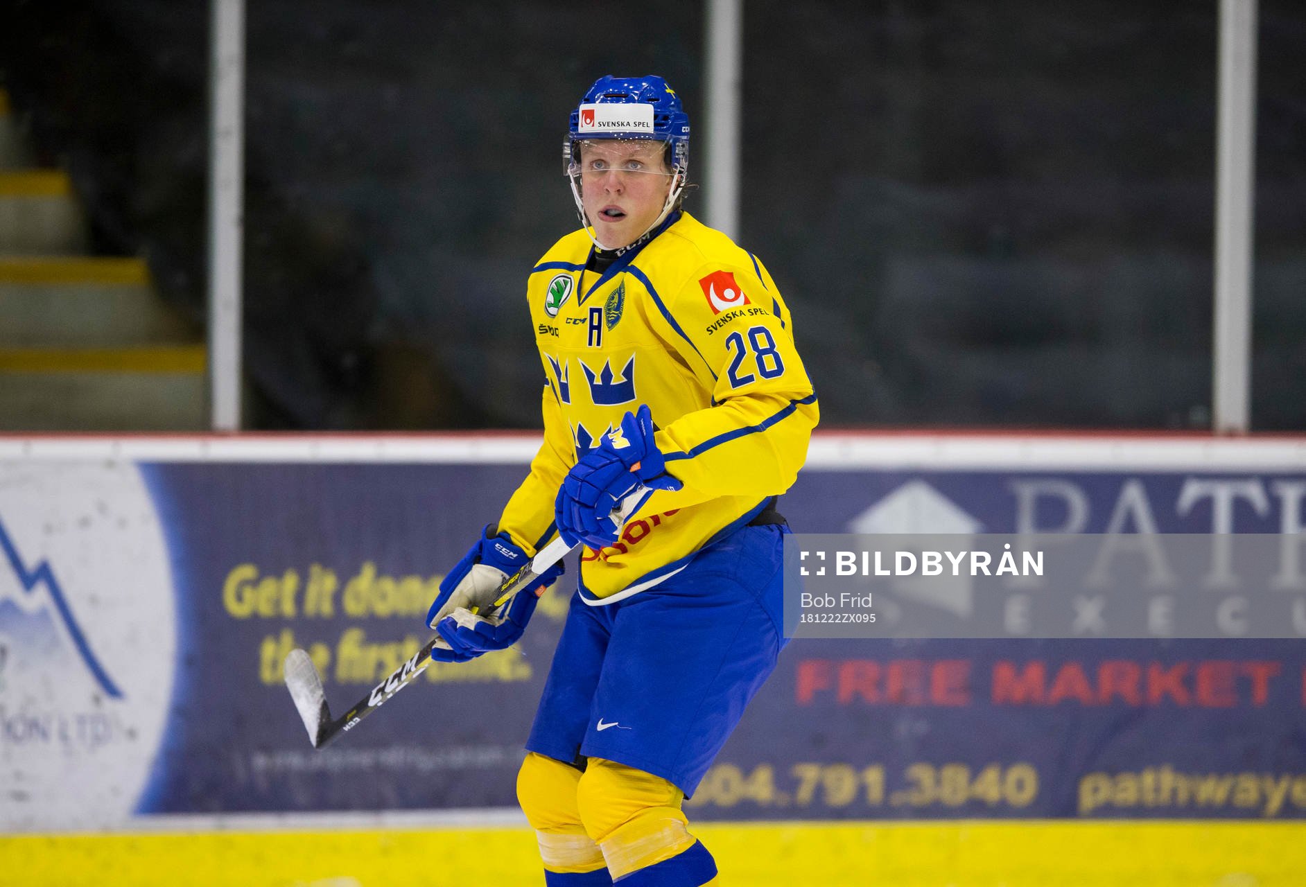 Sweden forward Fabian Zetterlund (28)