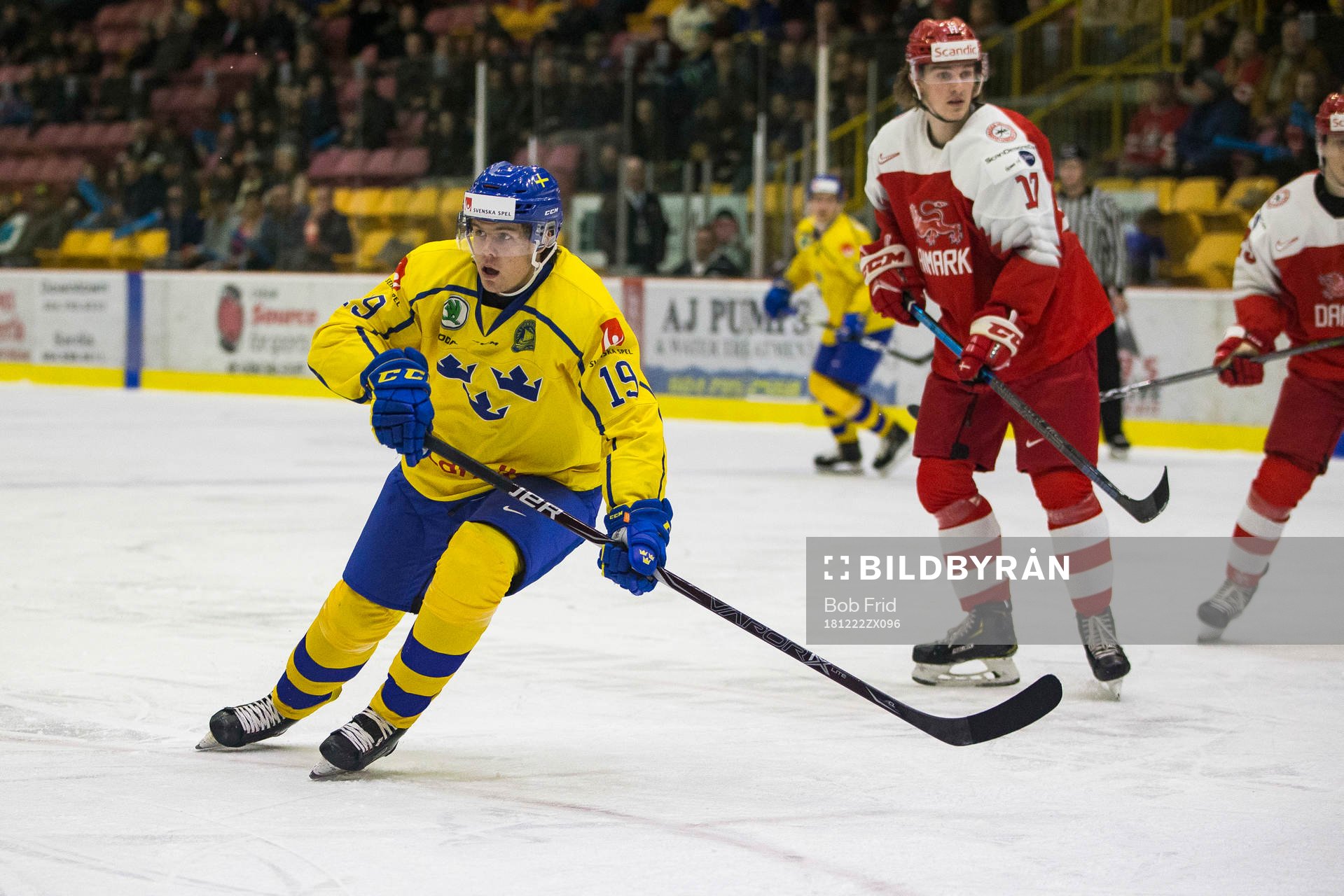 Sweden forward Filip Hållander (19)
