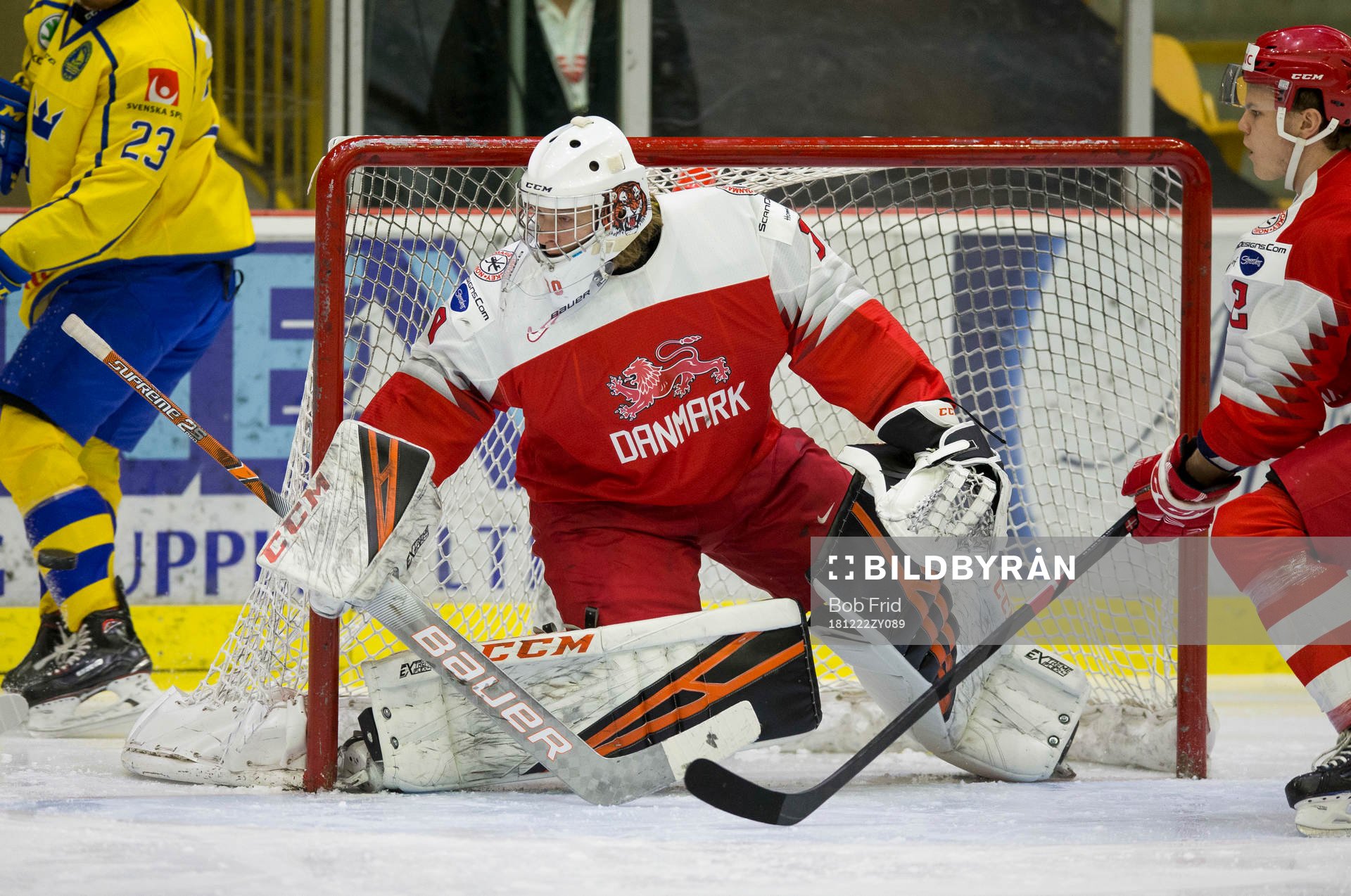 Denmark goalie Mads Søgaard (30) in action  against Sweden