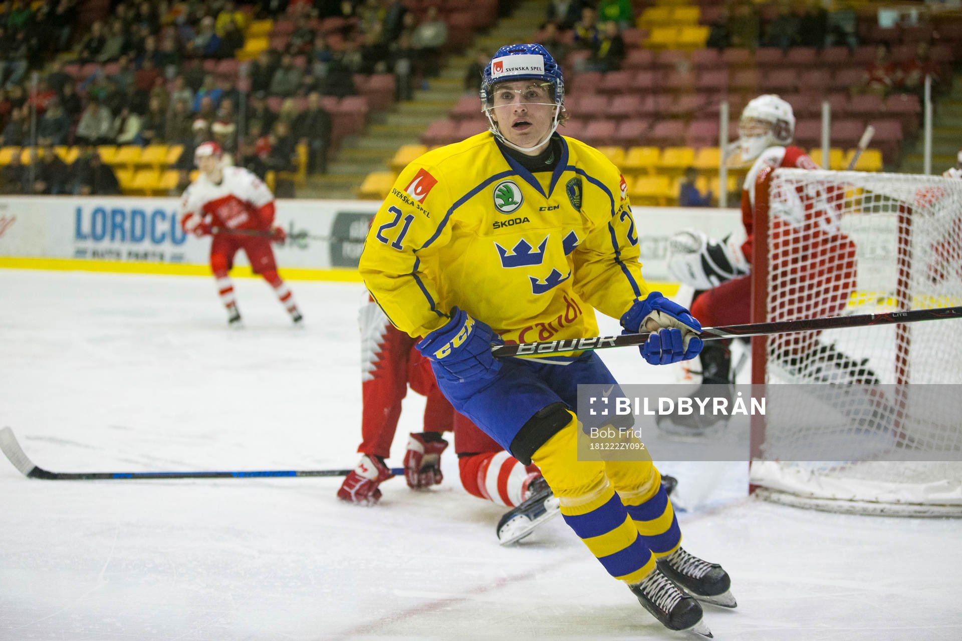 Sweden forward Nils Höglander (21)