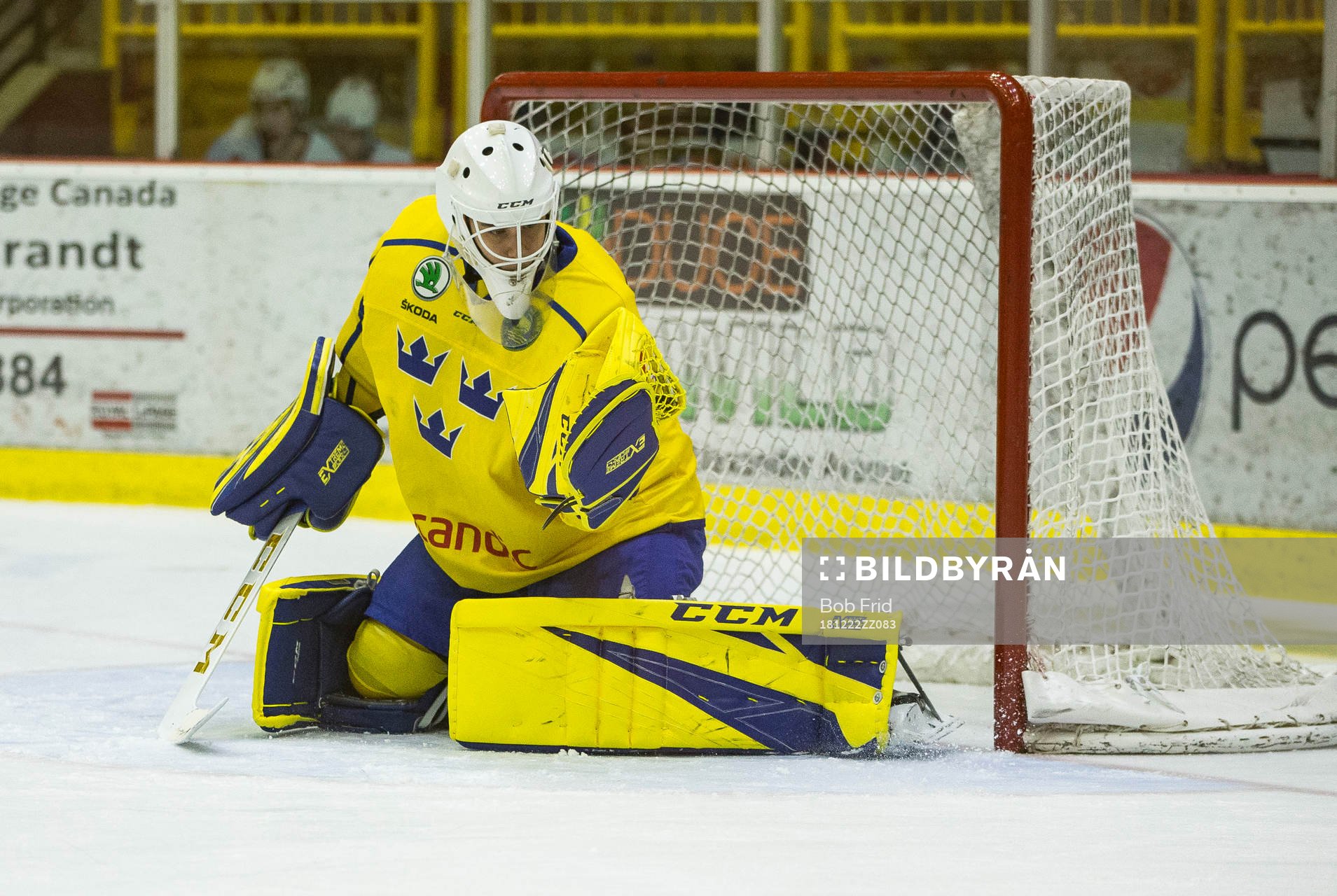 Sweden goalie Olle Eriksson Ek (35)  in action  against