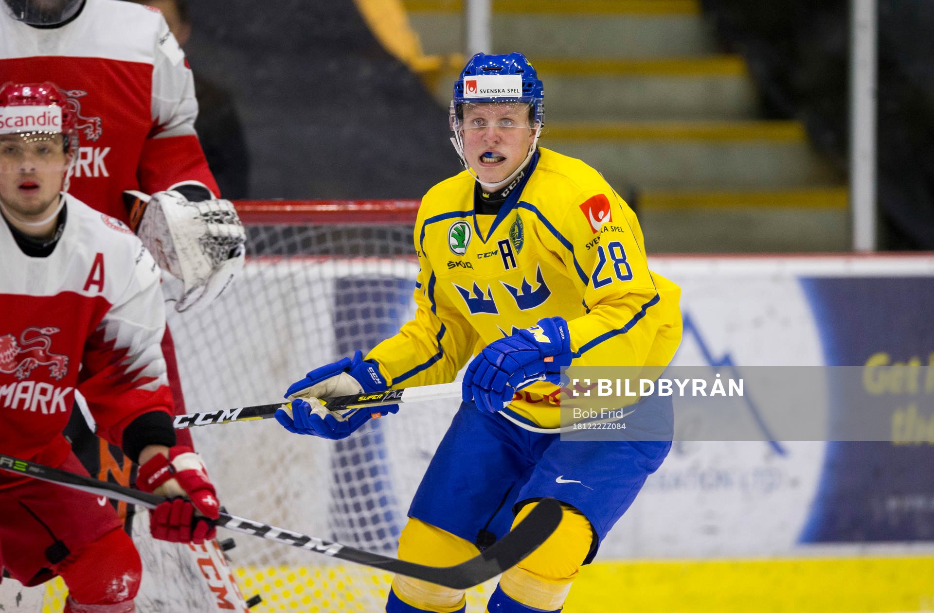 Sweden forward Fabian Zetterlund (28)
