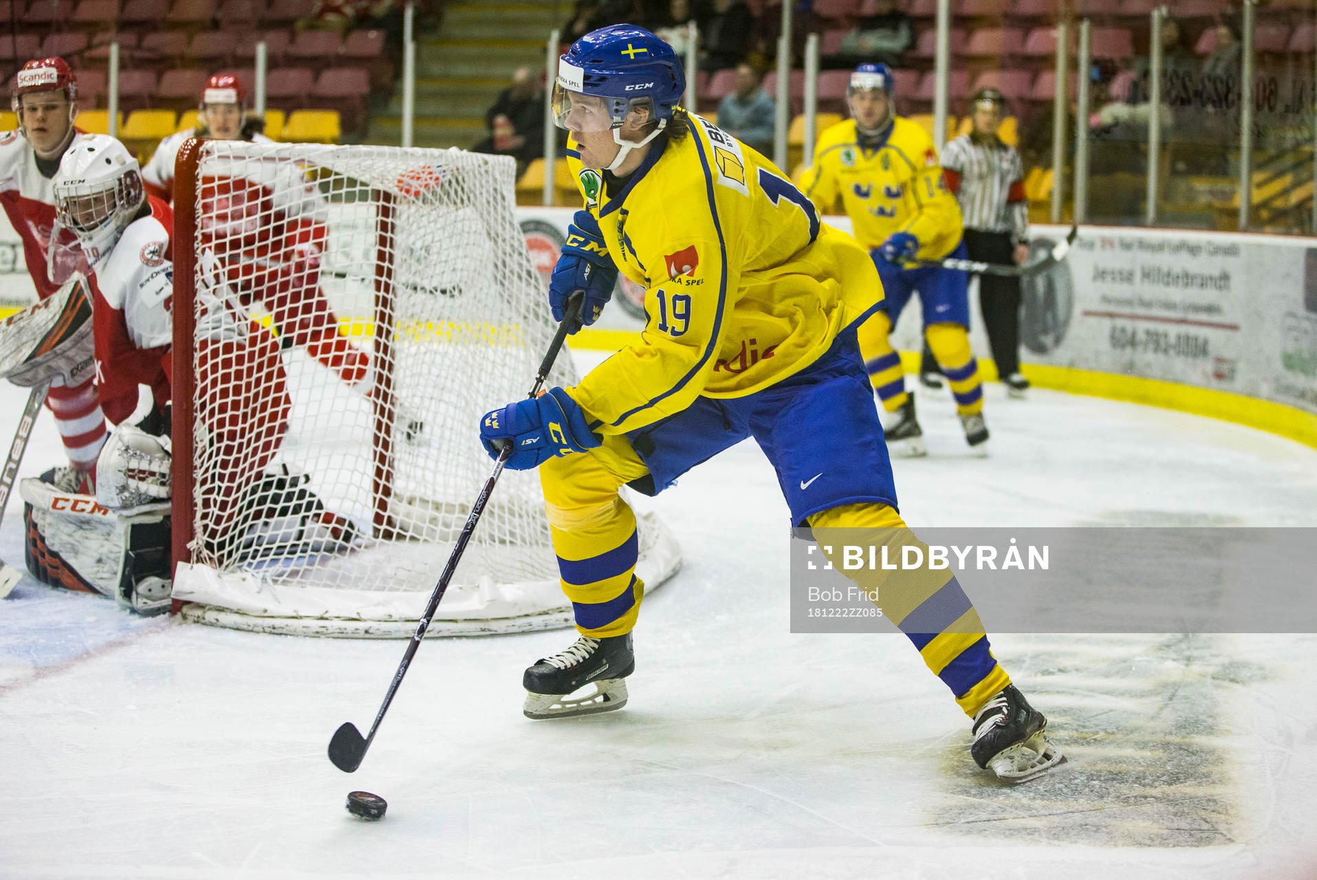 Sweden forward Filip Hållander (19)