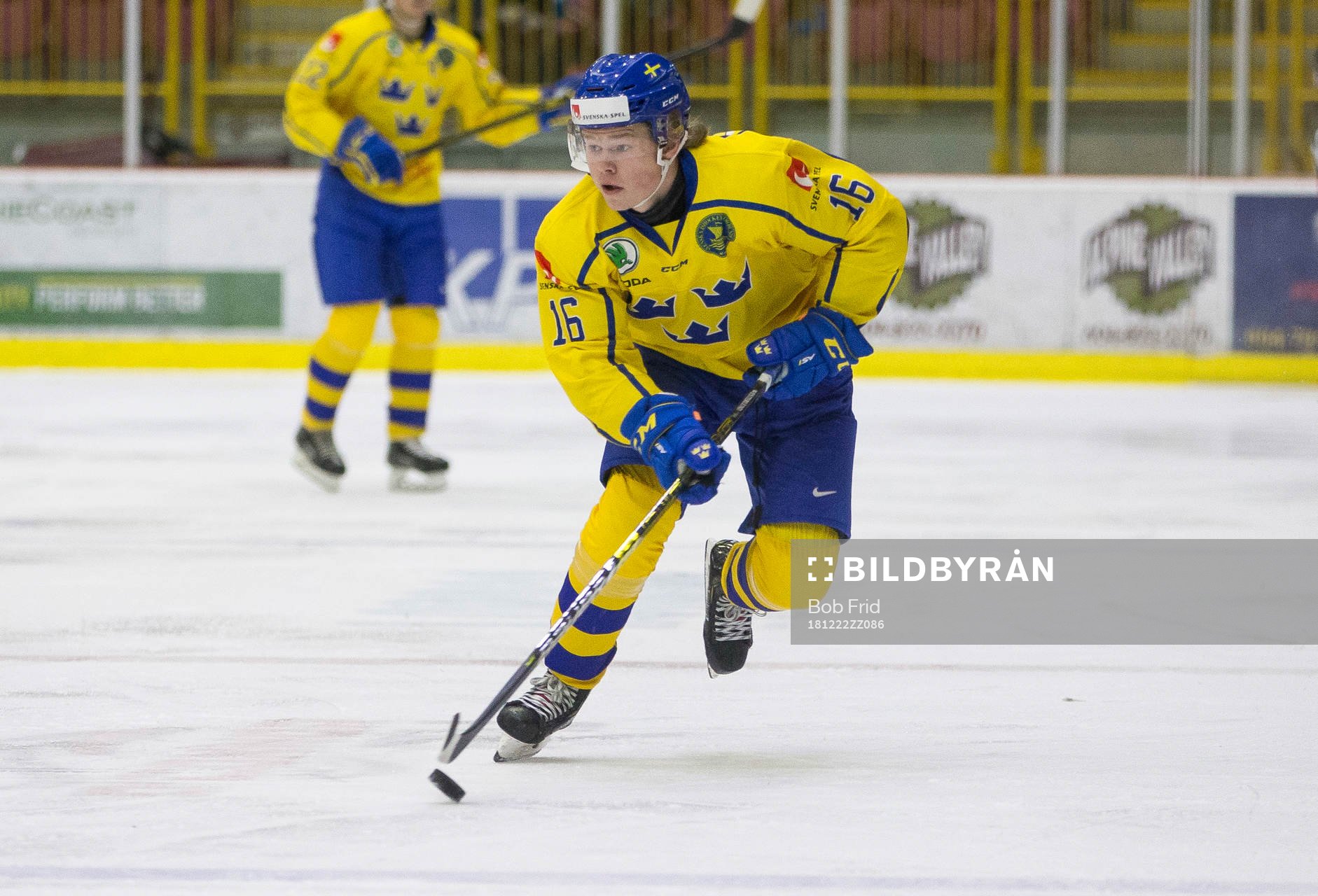 Sweden defenceman Filip Westerlund (16)
