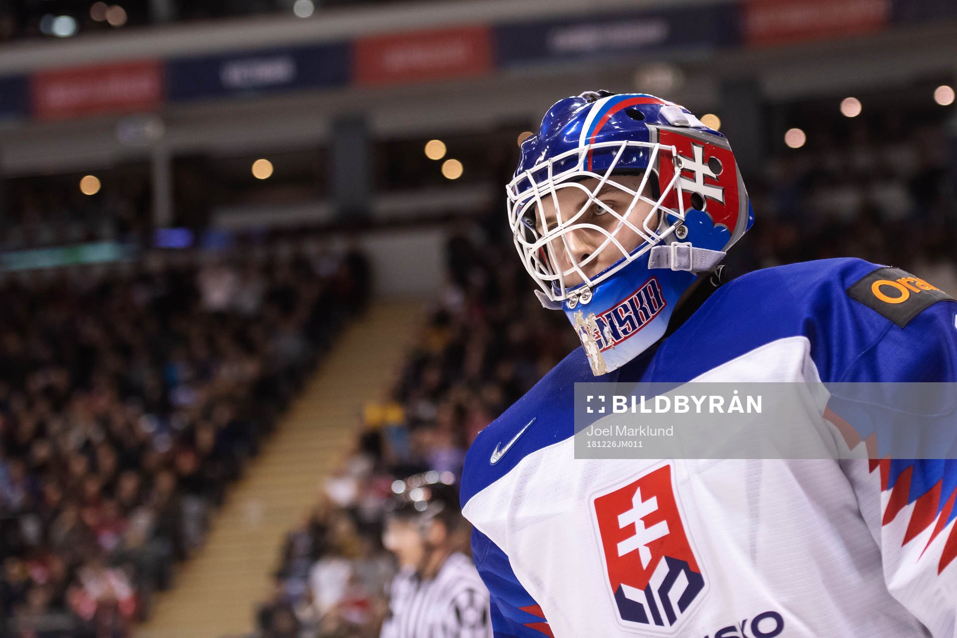 Goaltender Samuel Hlavaj of Slovakia