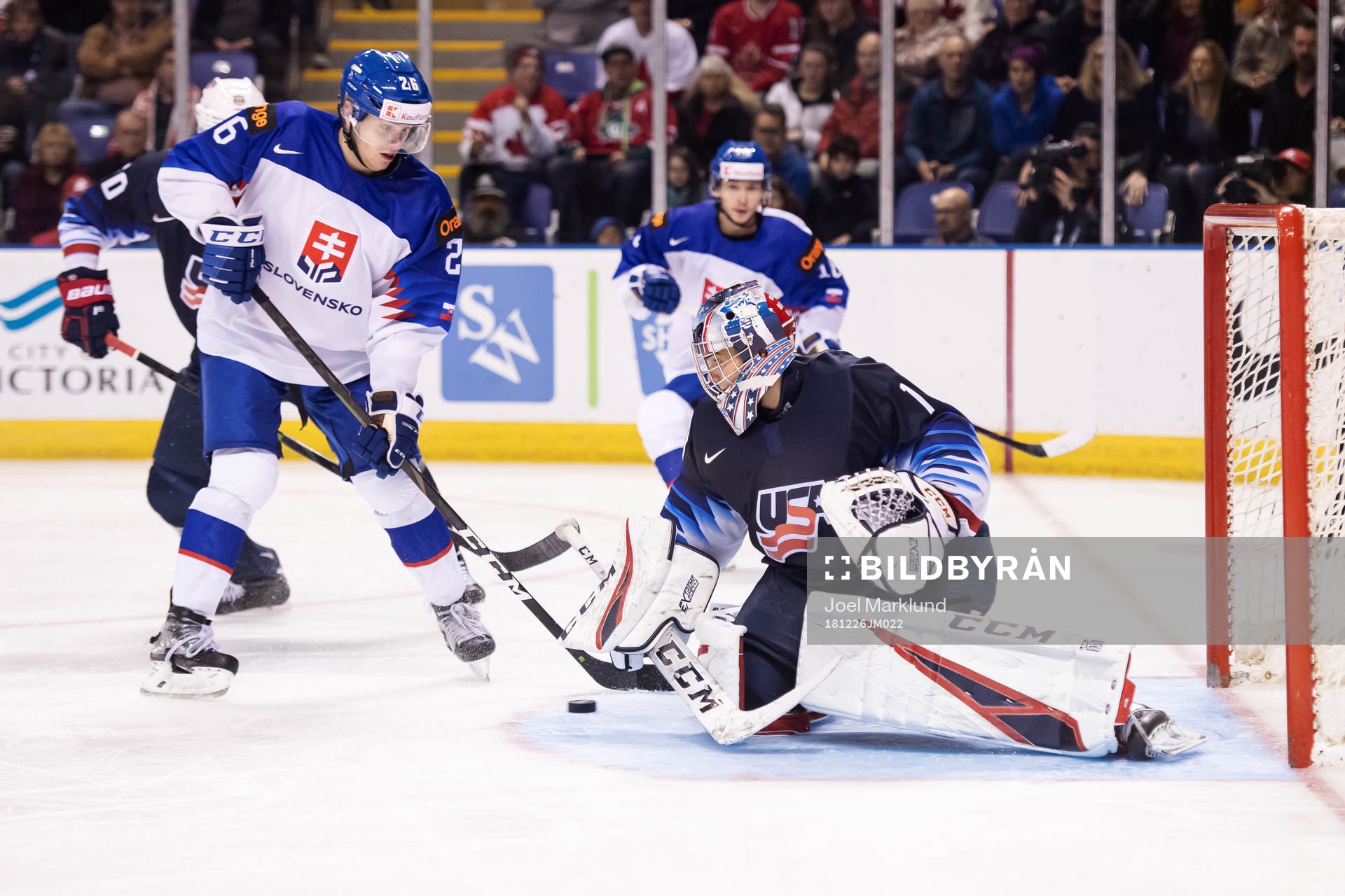 Milos Roman of Slovakia attacks in front of goaltender Kyle