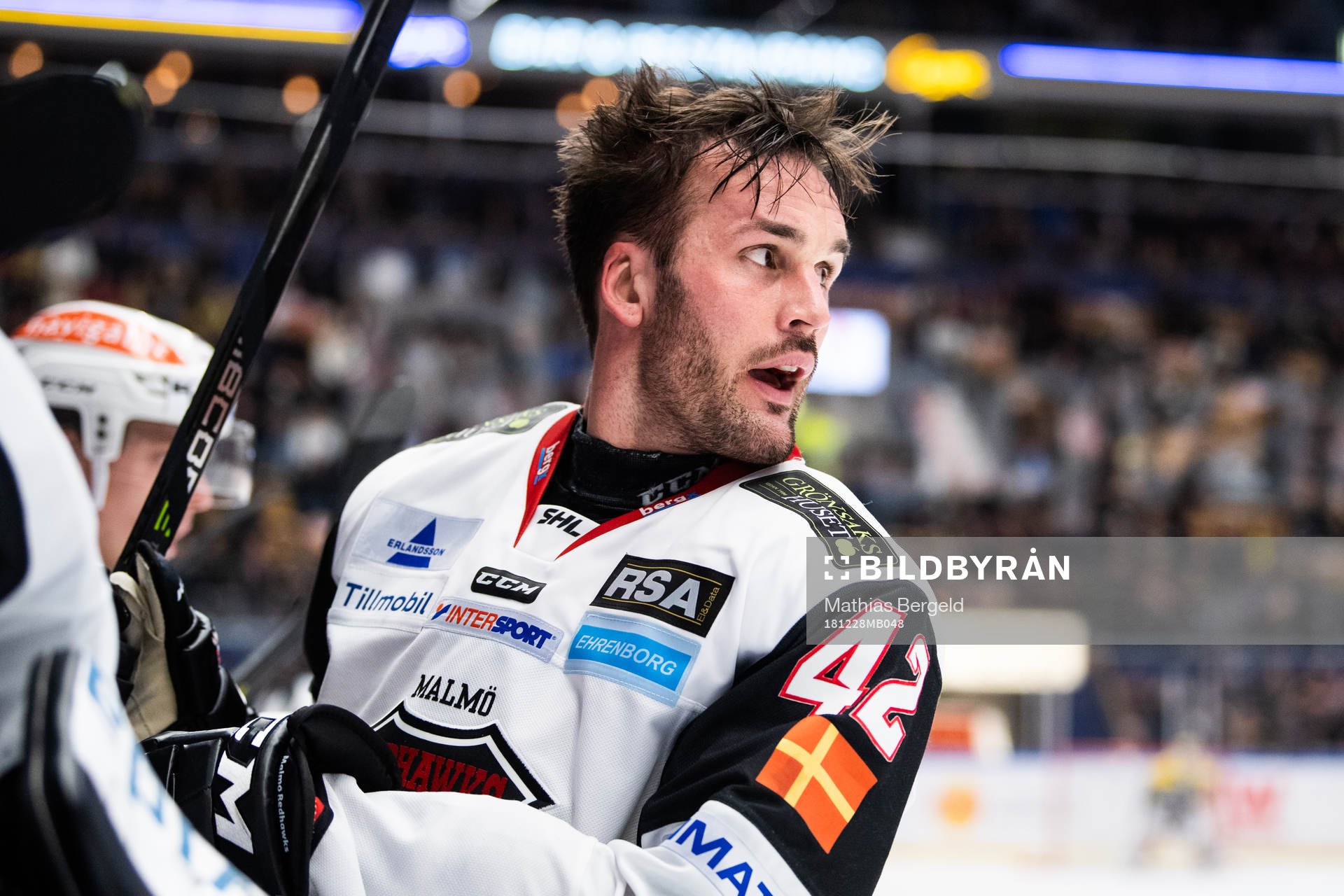 Malmö Redhawks Niklas Arell reagerar på ett domslut