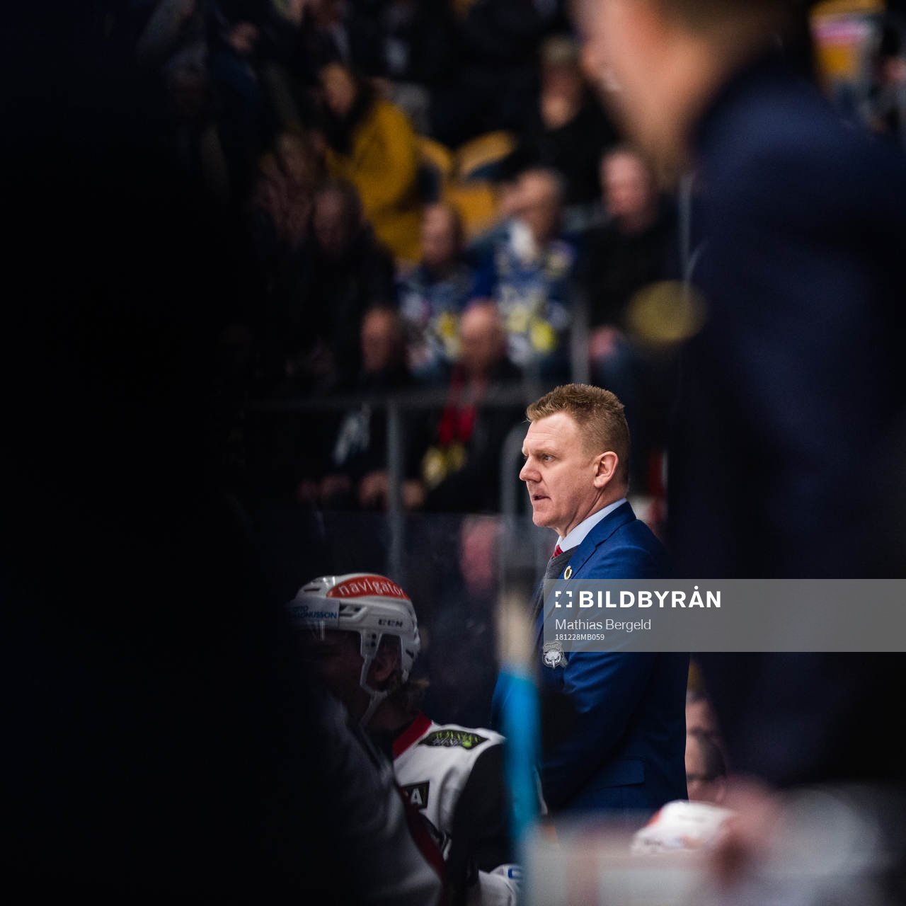 Malmö Redhawks assisterande tränare Jesper Mattsson