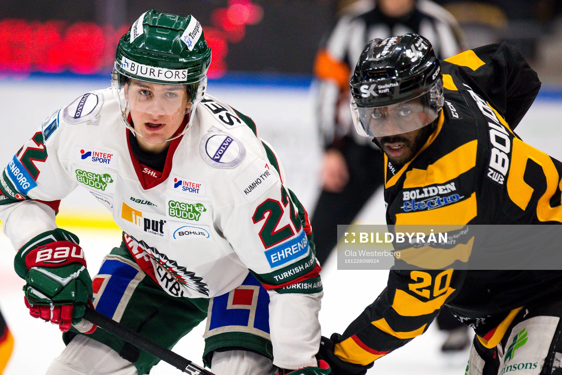 Skellefteås Edwin Hedberg