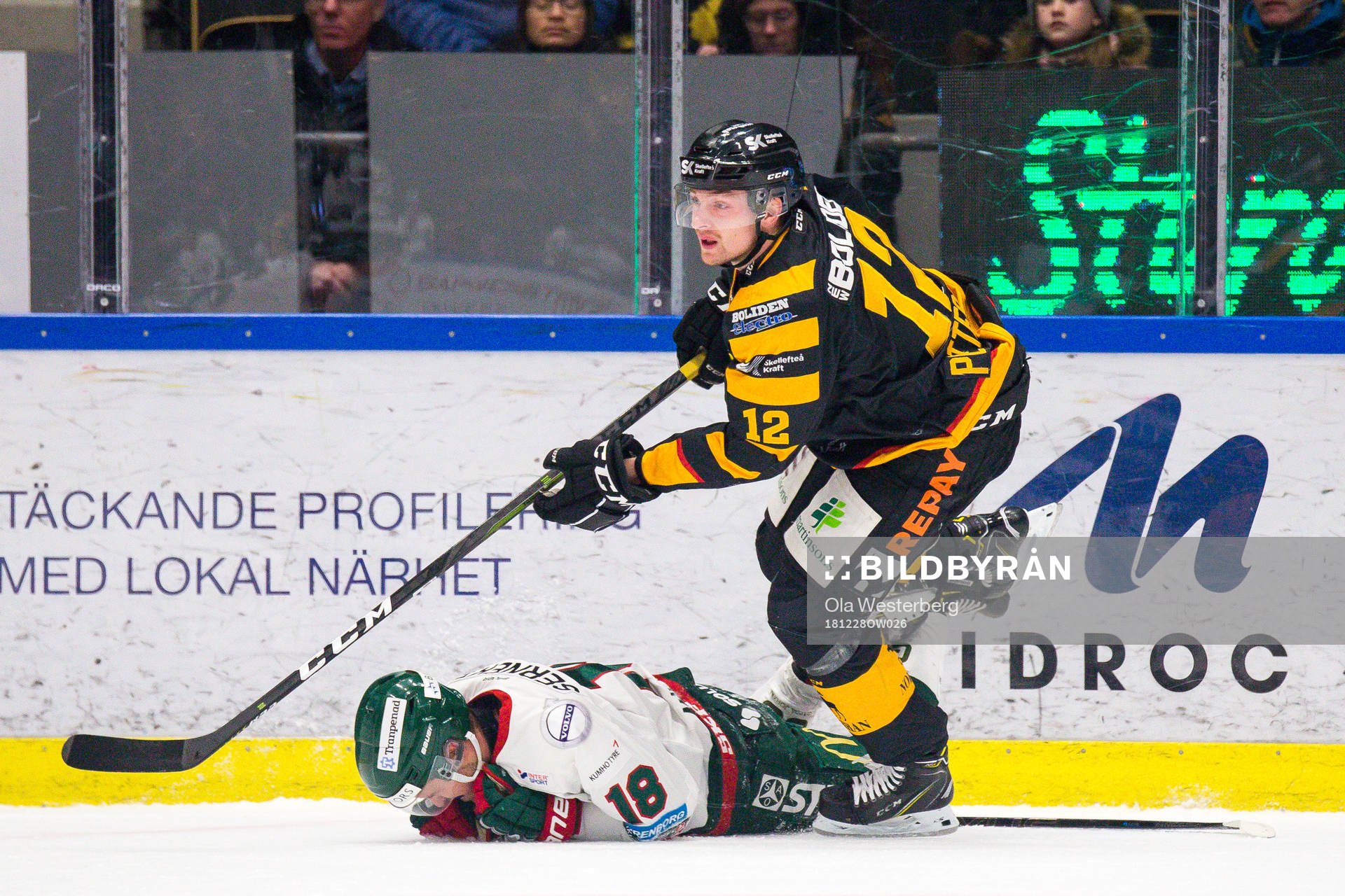 Skellefteås Adam Pettersson