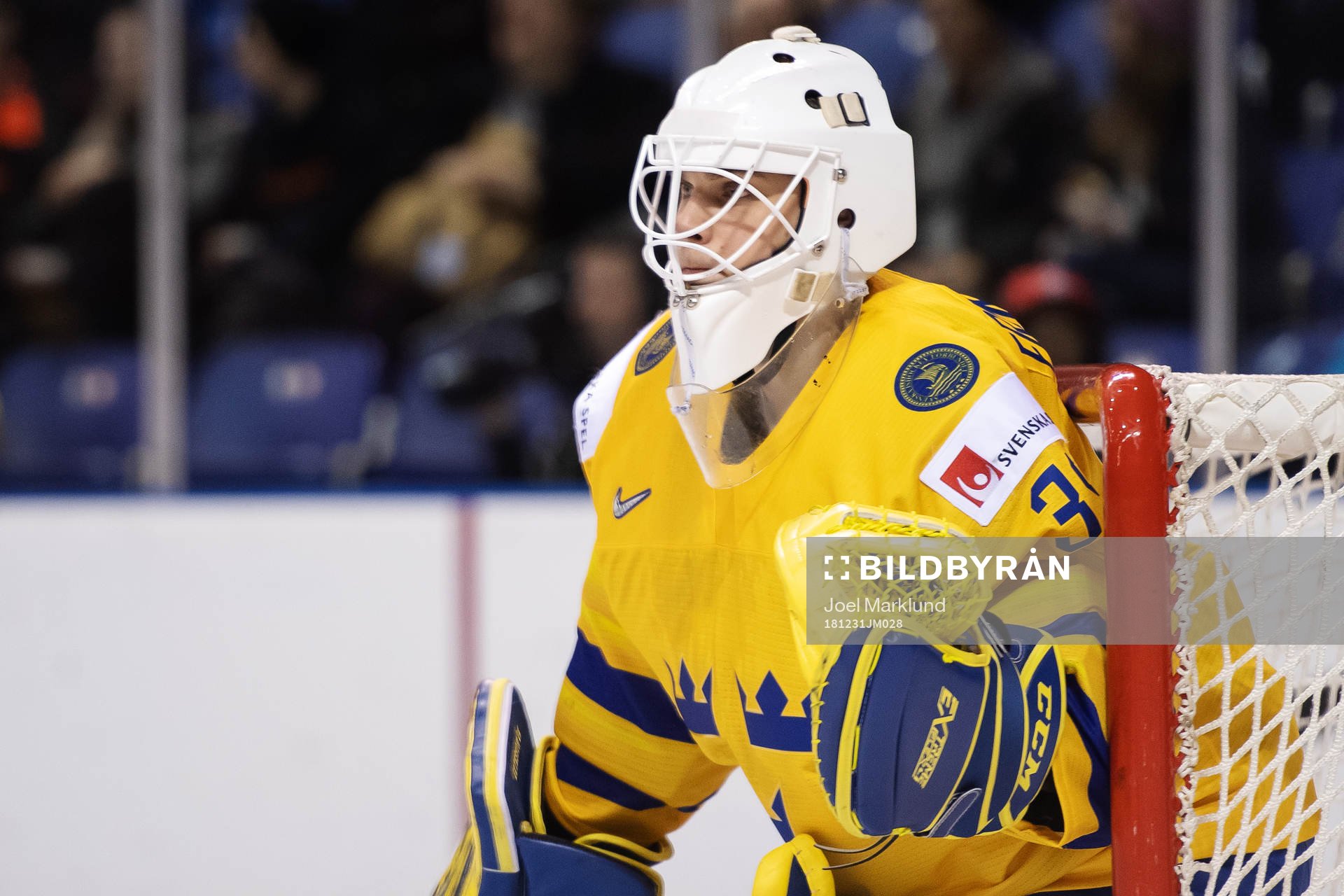Goaltender Olle Eriksson Ek of Sweden