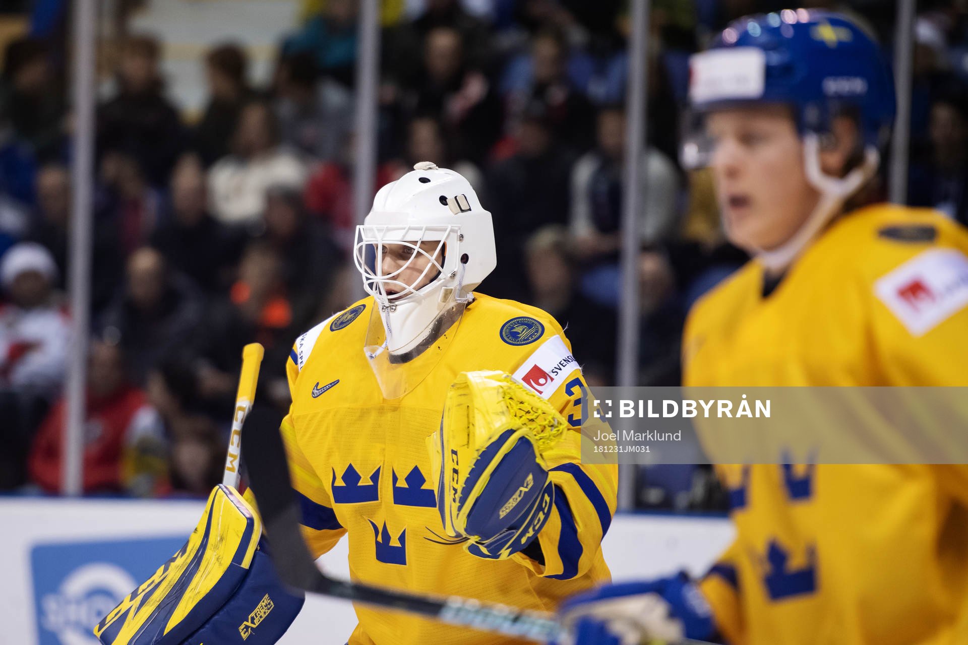 Goaltender Olle Eriksson Ek of Sweden