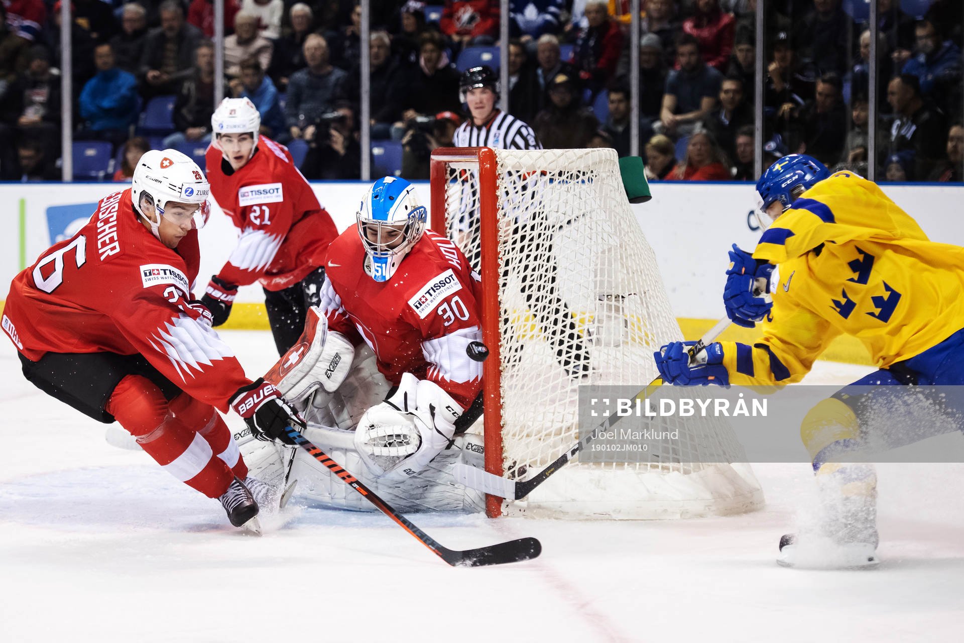 David Aebischer and goaltender Luca Hollenstein of