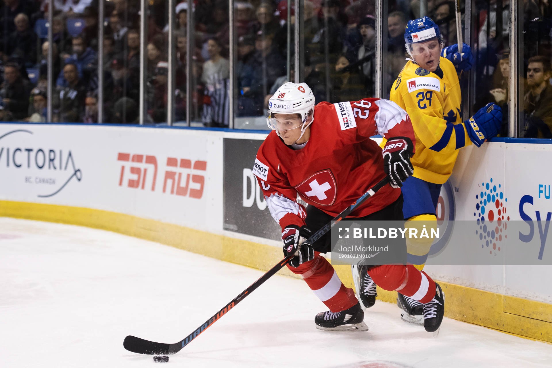 David Aebischer of Switzerland and Fabian Zetterlund of