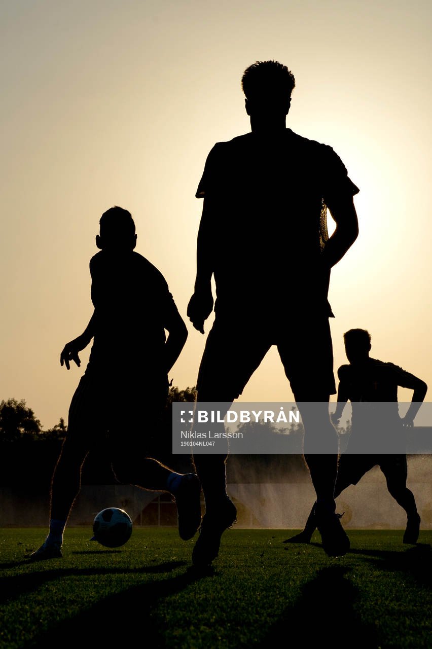 Silhouettes of Swedish players