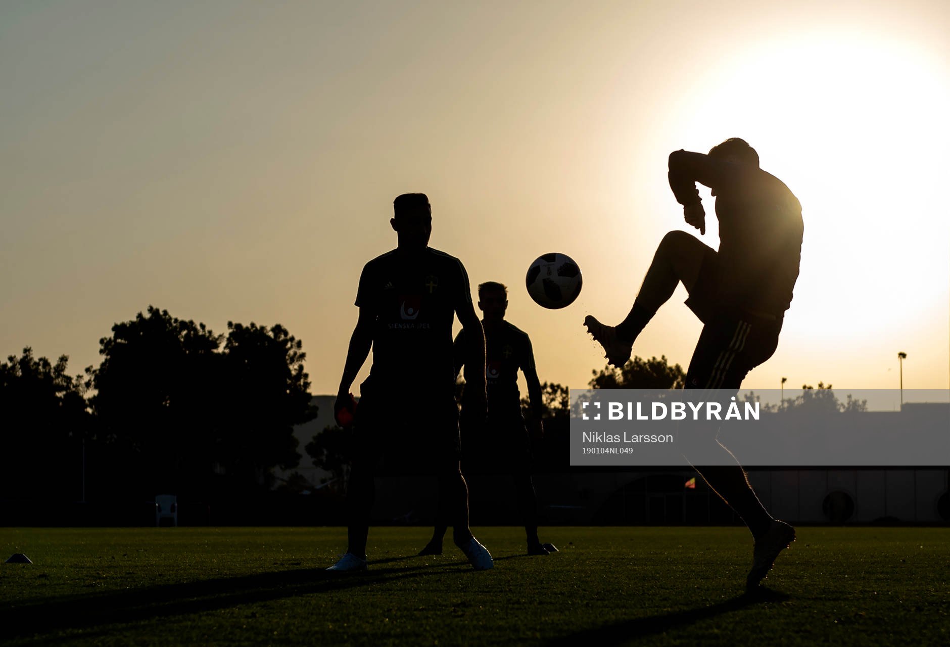 Silhouettes of Swedish players